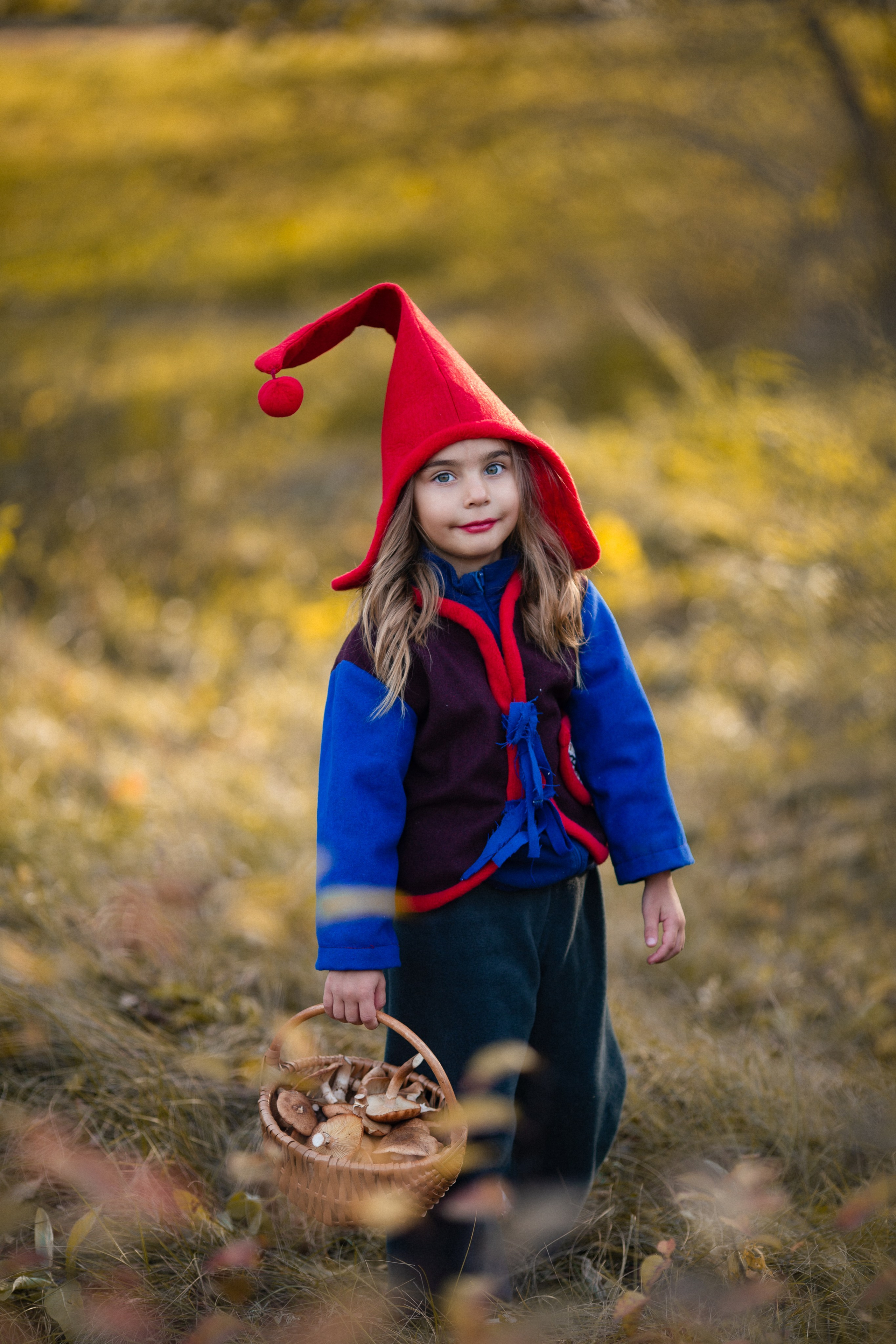 Лесные гномы