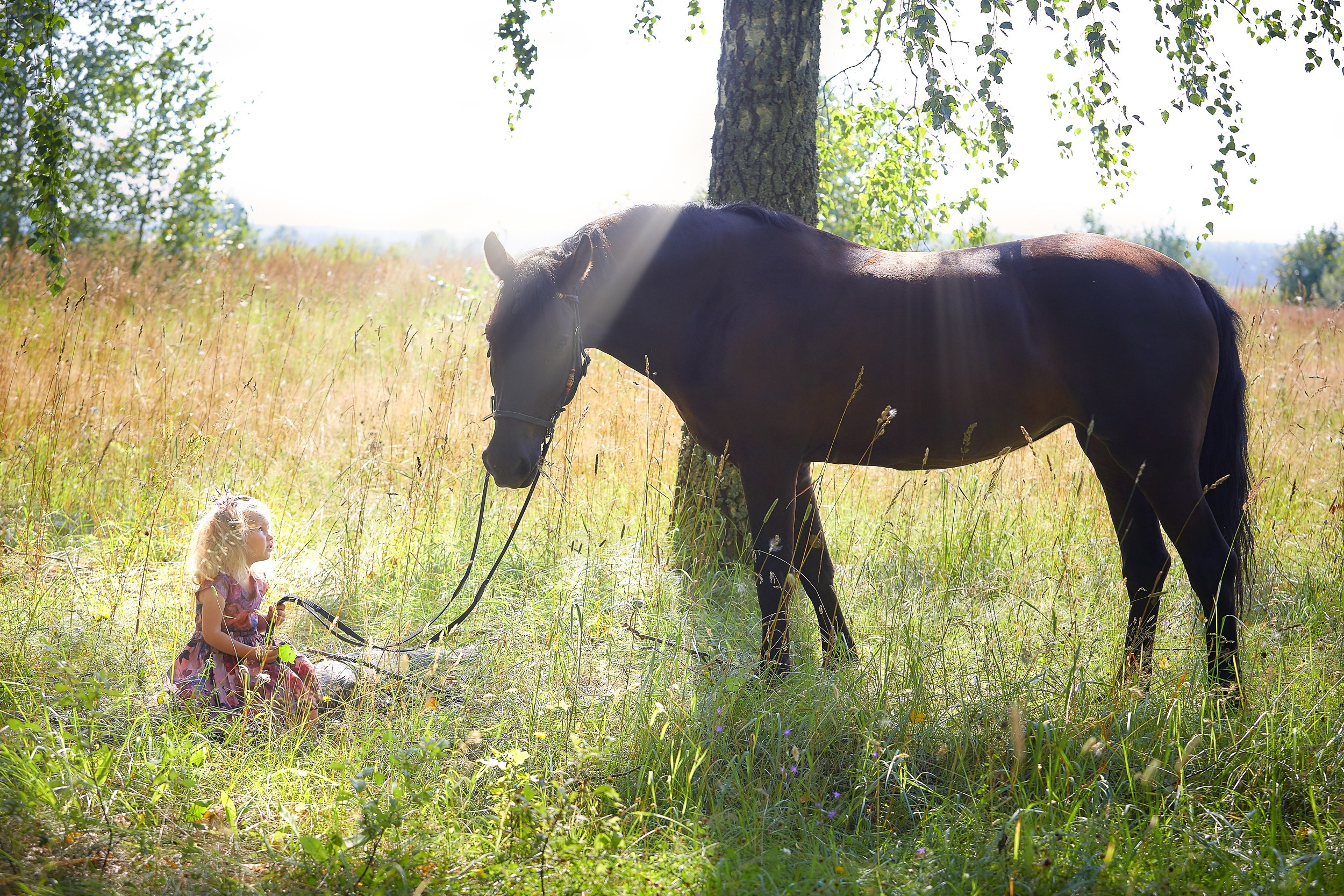 Фотосессия с лошадьми Фотограф Михаил Семенов, г. Ярославль