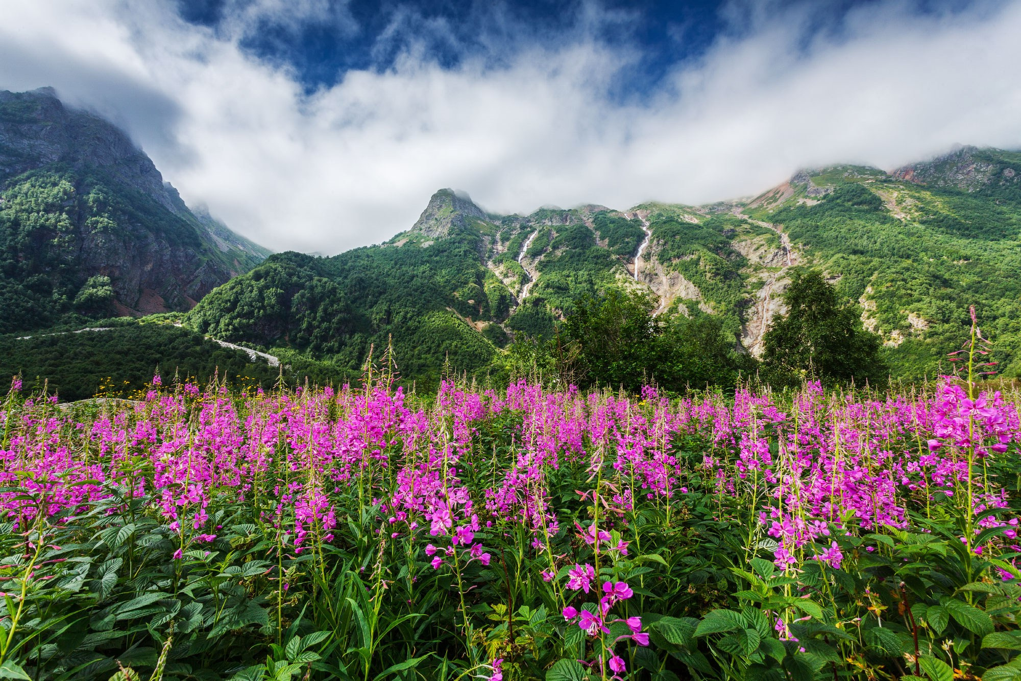 Фотограф в Геленджике Владимир Сковородников
