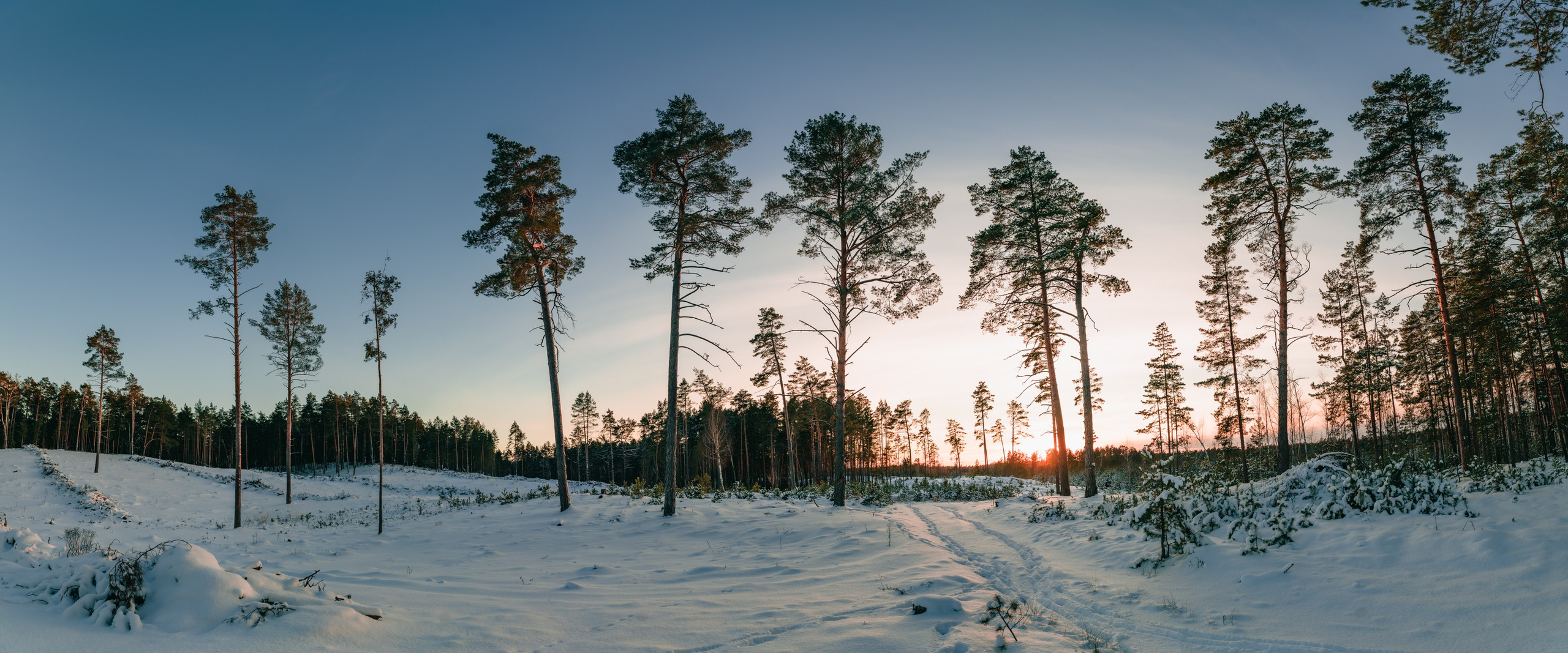 Репортажный фотограф Владимир Беляй