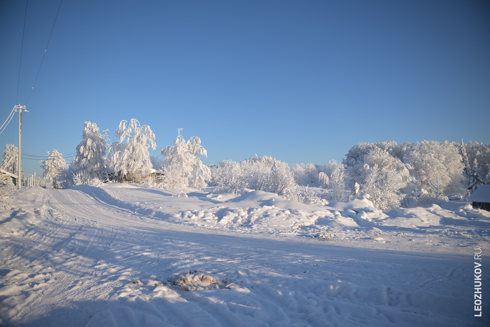 Rally Suvorov 2026. Sports photographer Leonid Zhukov