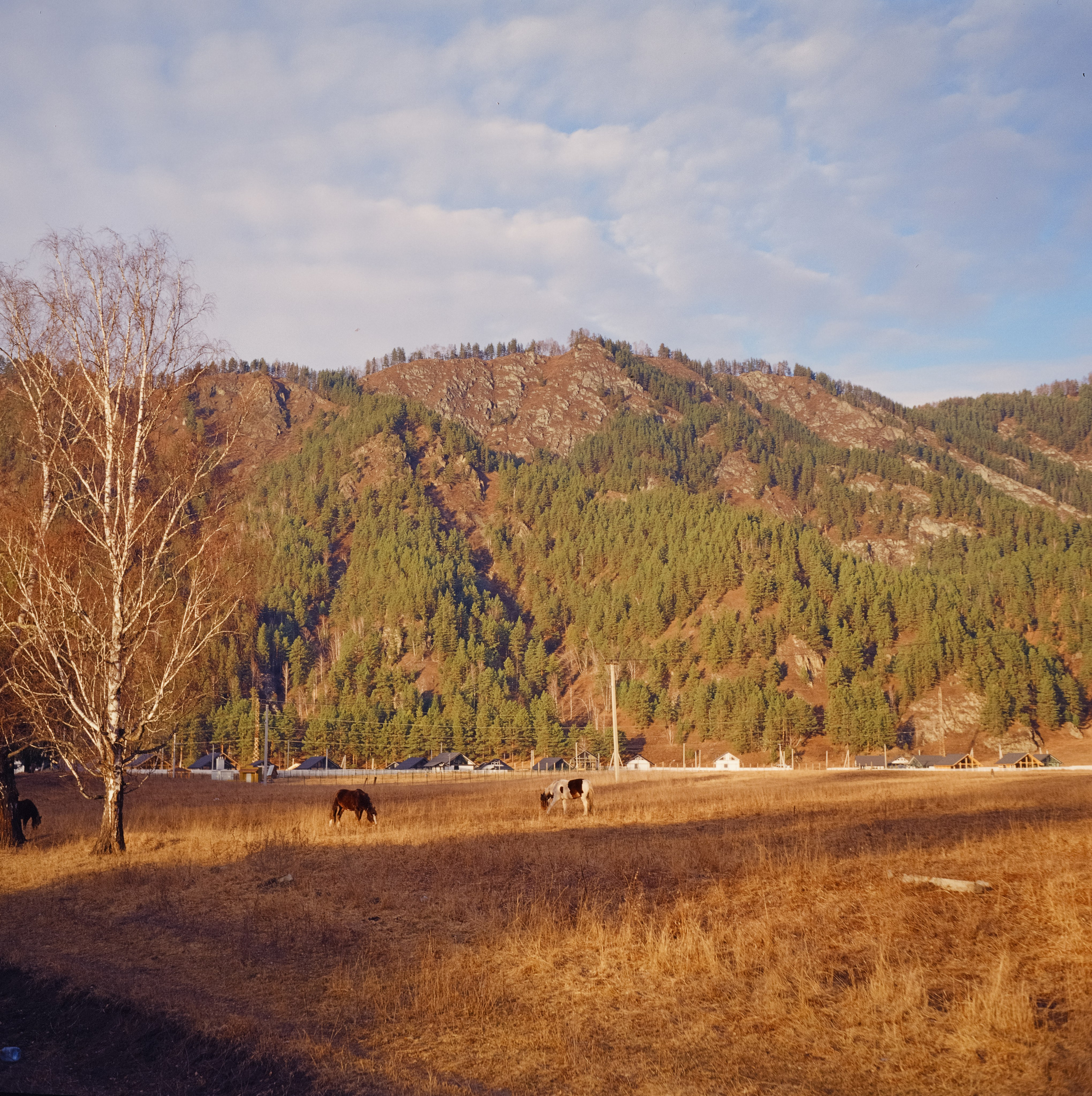 День зимнего солнцестояния / 22 декабря 2023 года (0)