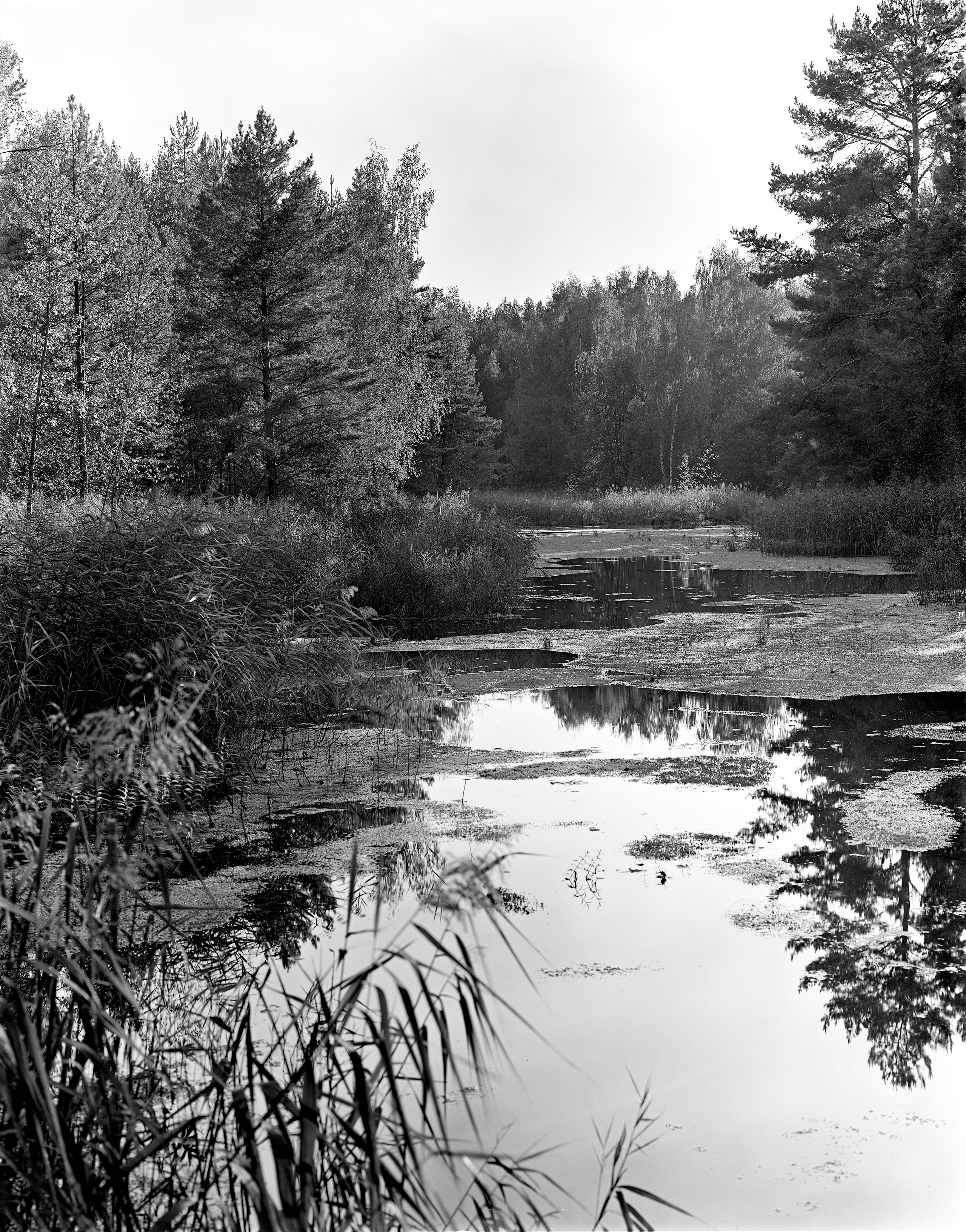 Landscape. Sergey Kondriuk art-photographer | artist