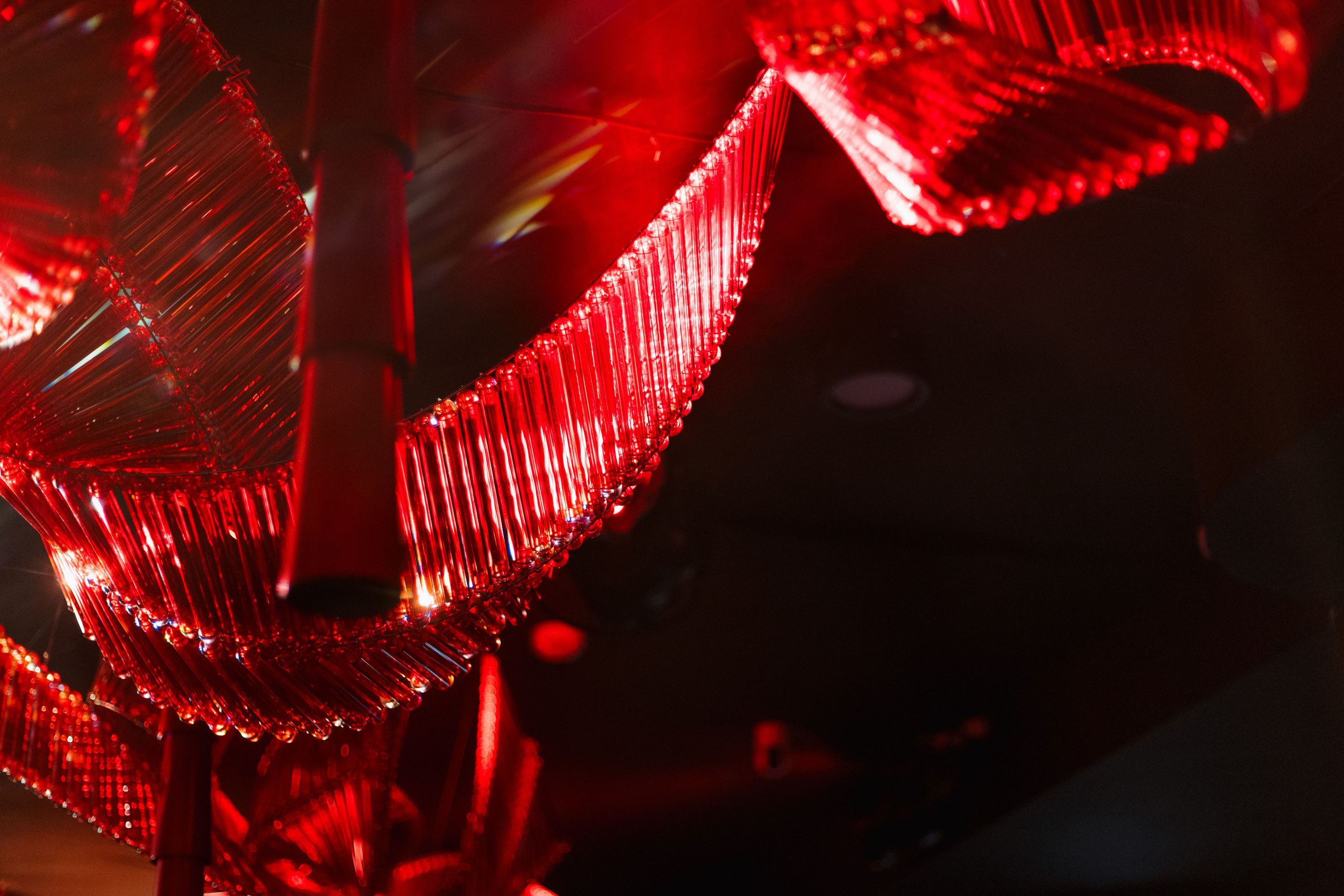 LA FAMIGLIA — SOLOVI — 1 YEAR. СВОИ. ФОТООТЧЕТЫ-СОБЫТИЯ-МЕСТА