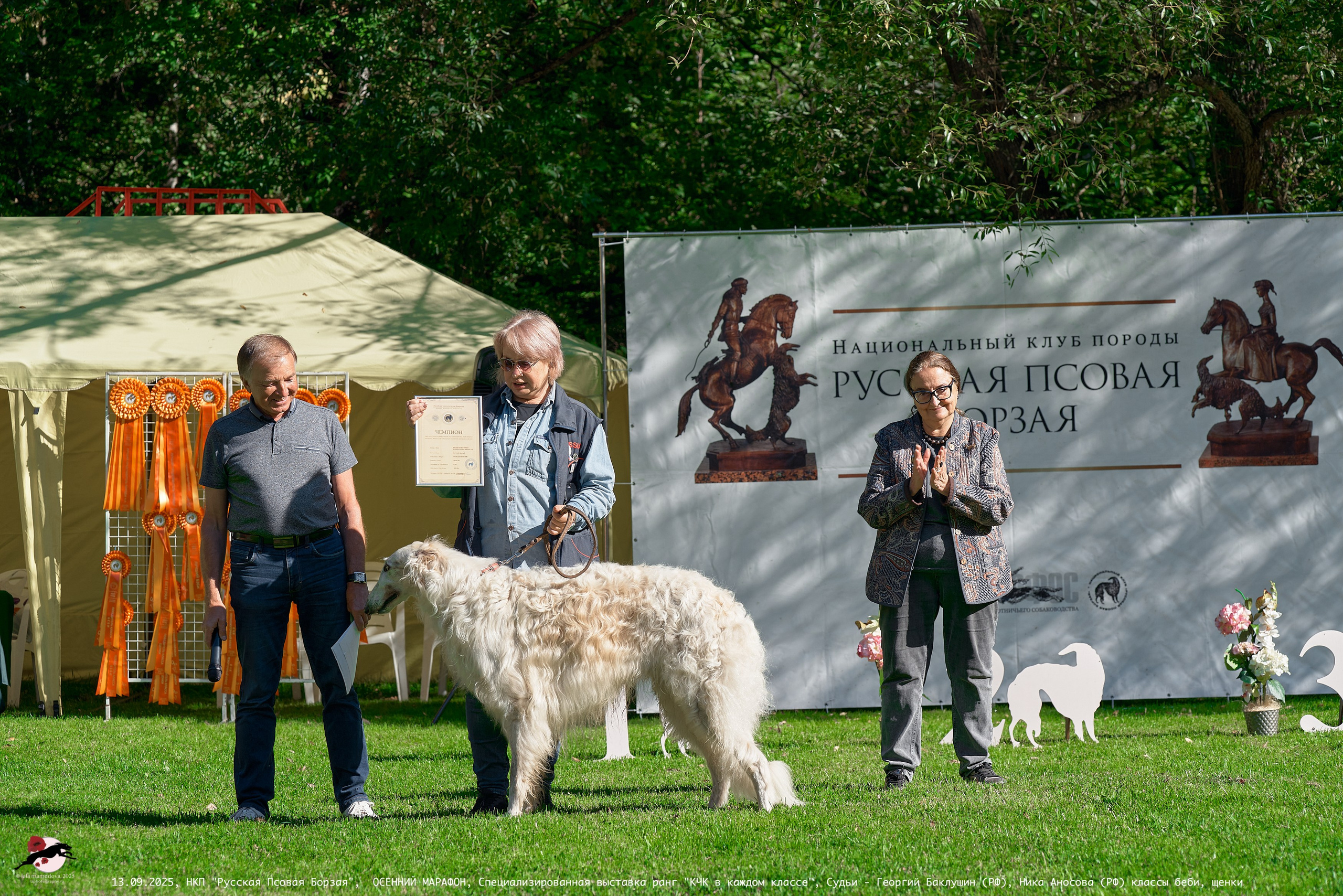ОСЕННИЙ МАРАФОН | Специализированная выставка породы Русская Псовая Борзая ранг "КЧК в каждом классе"