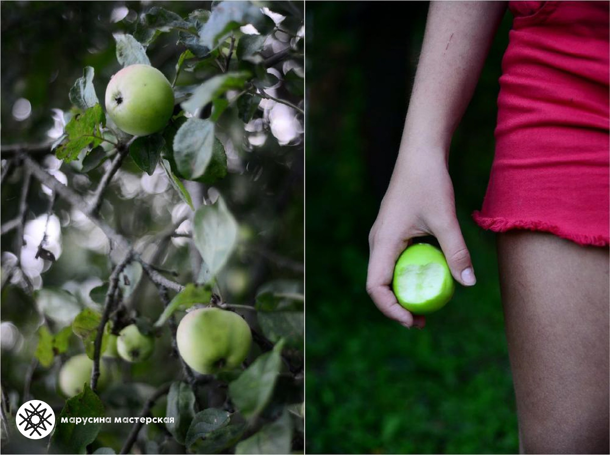 Учебная работа по построению кадра