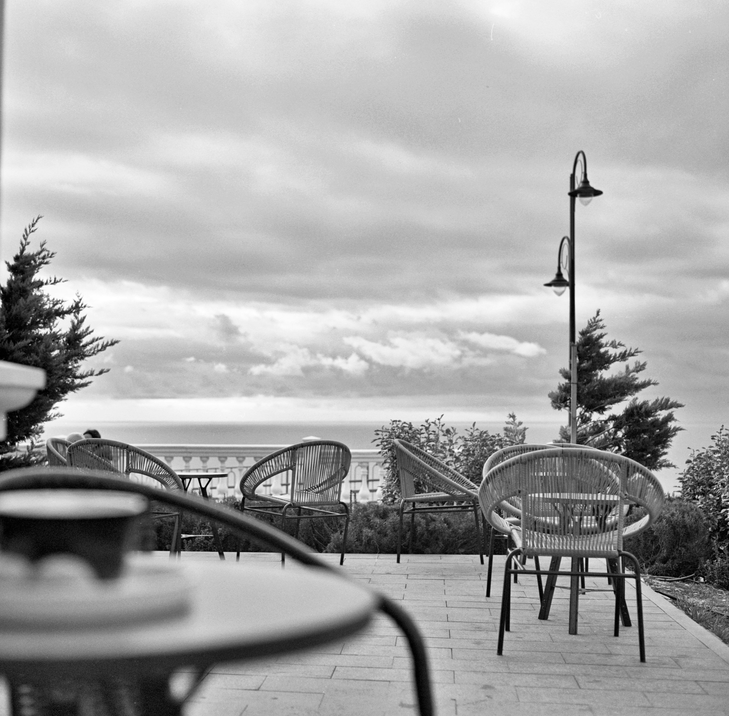 Альбом «Библиотека кофе» г. Анапа. Проект «Проявленные в кофе»