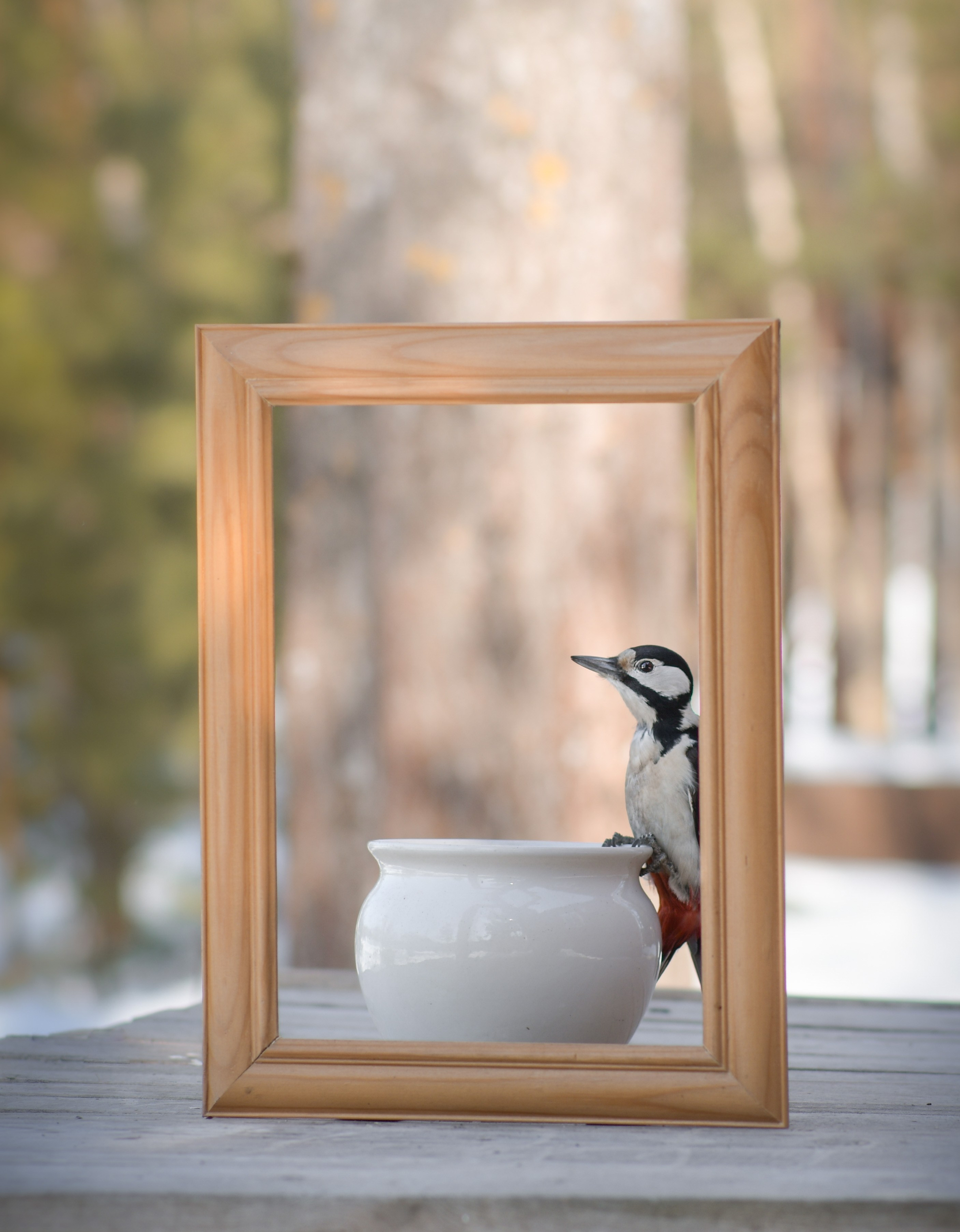 В созвучии с природой. Фотограф Светлана В. Пронина, Москва