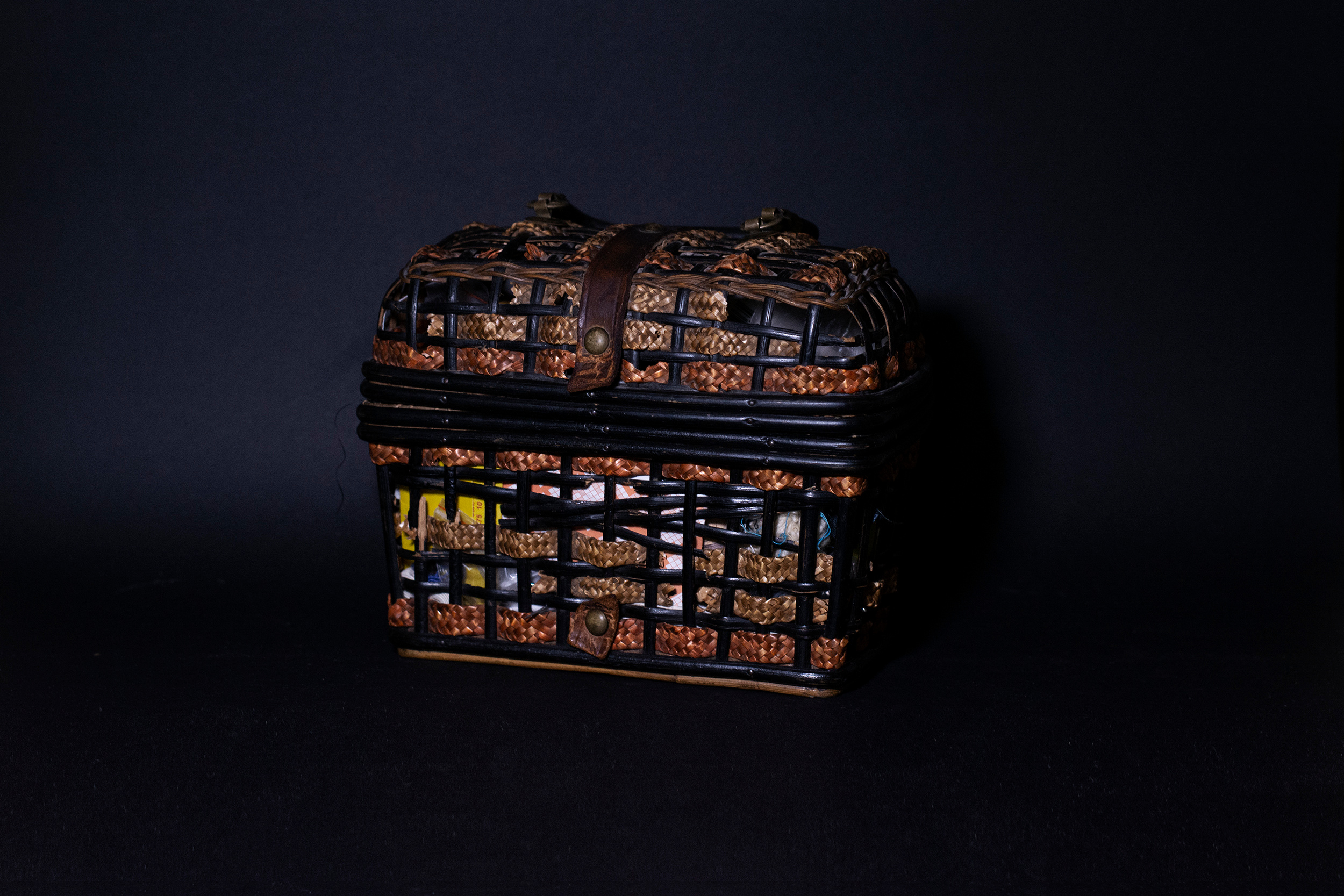 Елена Говоренкова