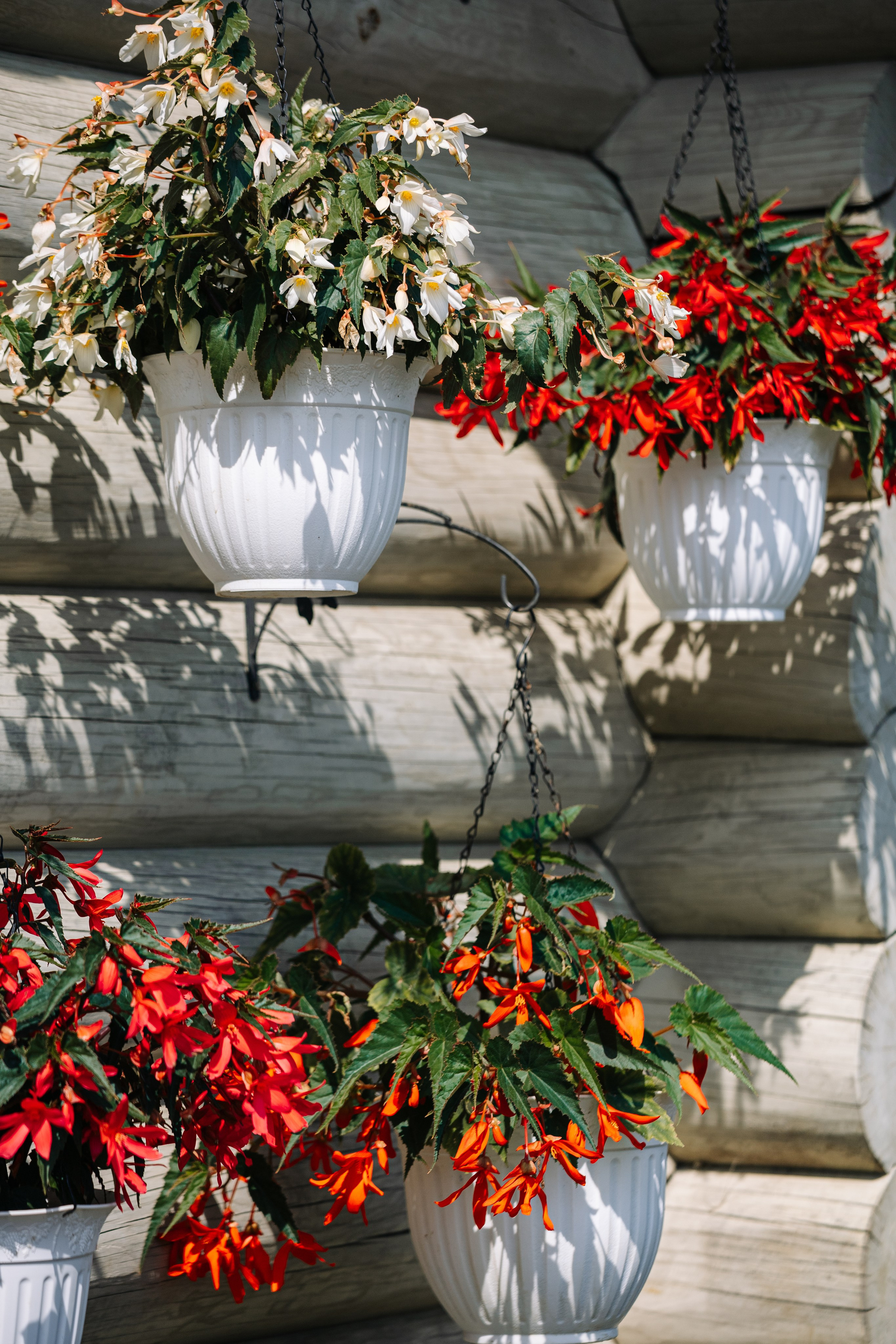 ОЗЕЛЕНЕНИЕ СРЕДЫ. Студия цветов в Санкт-Петербурге Ирины Гуриной