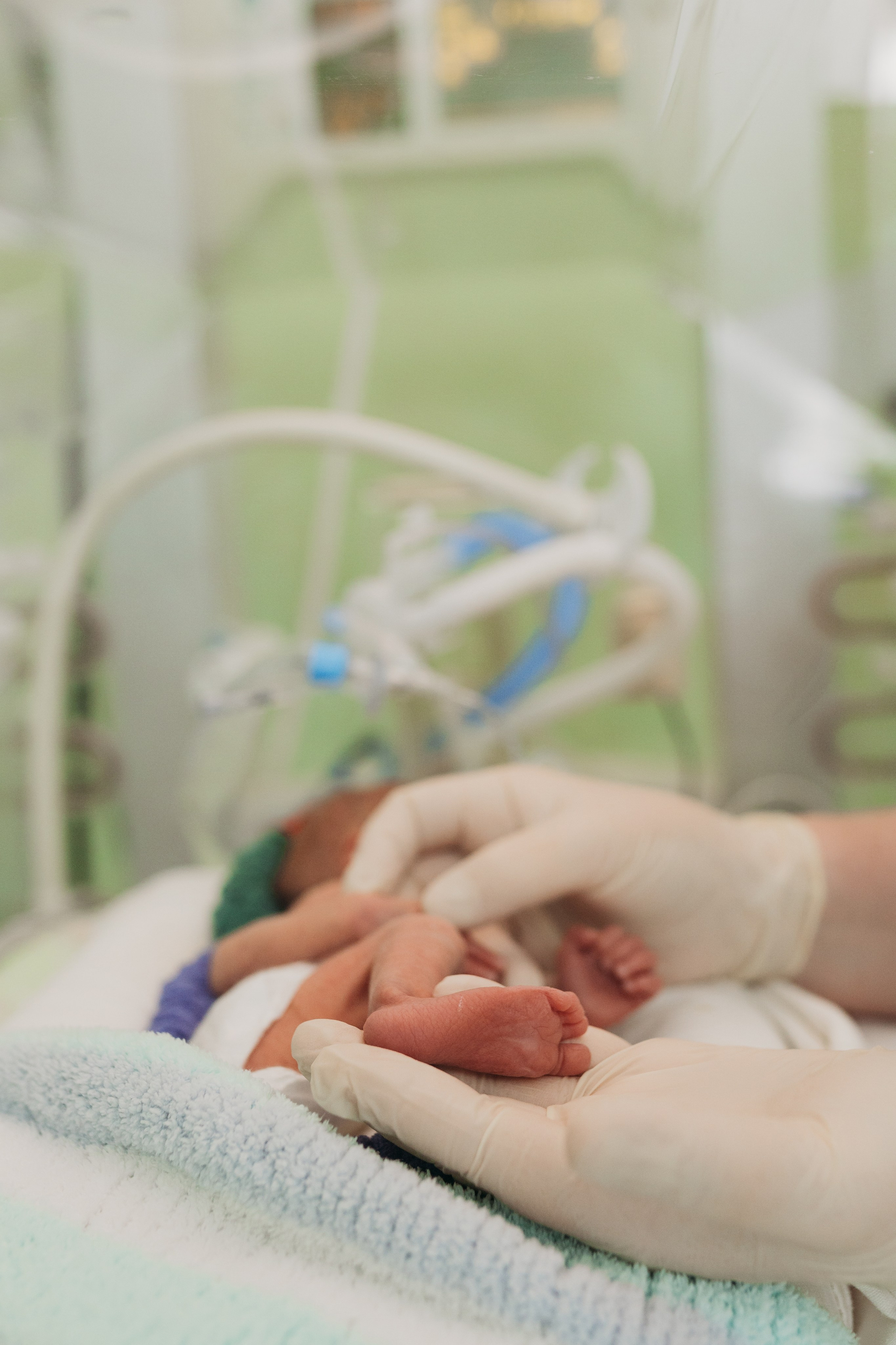 5 апреля — день неонатологов. Фотограф новорожденных в г. Барнаул Ренпенинг Катерина