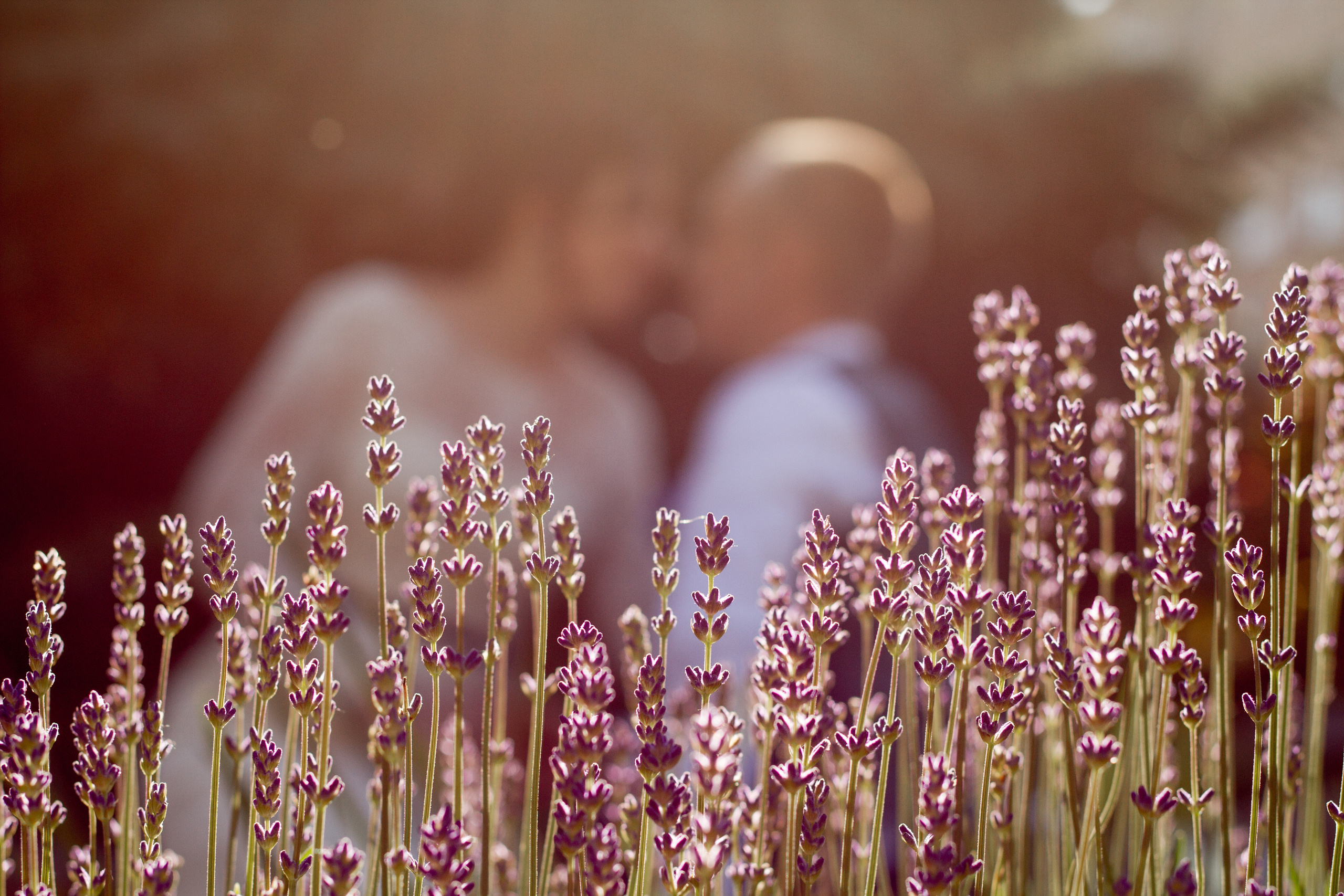Wedding N&N. Екатерина Дымова. Фотограф. Автор проекта «Белый Ветер»