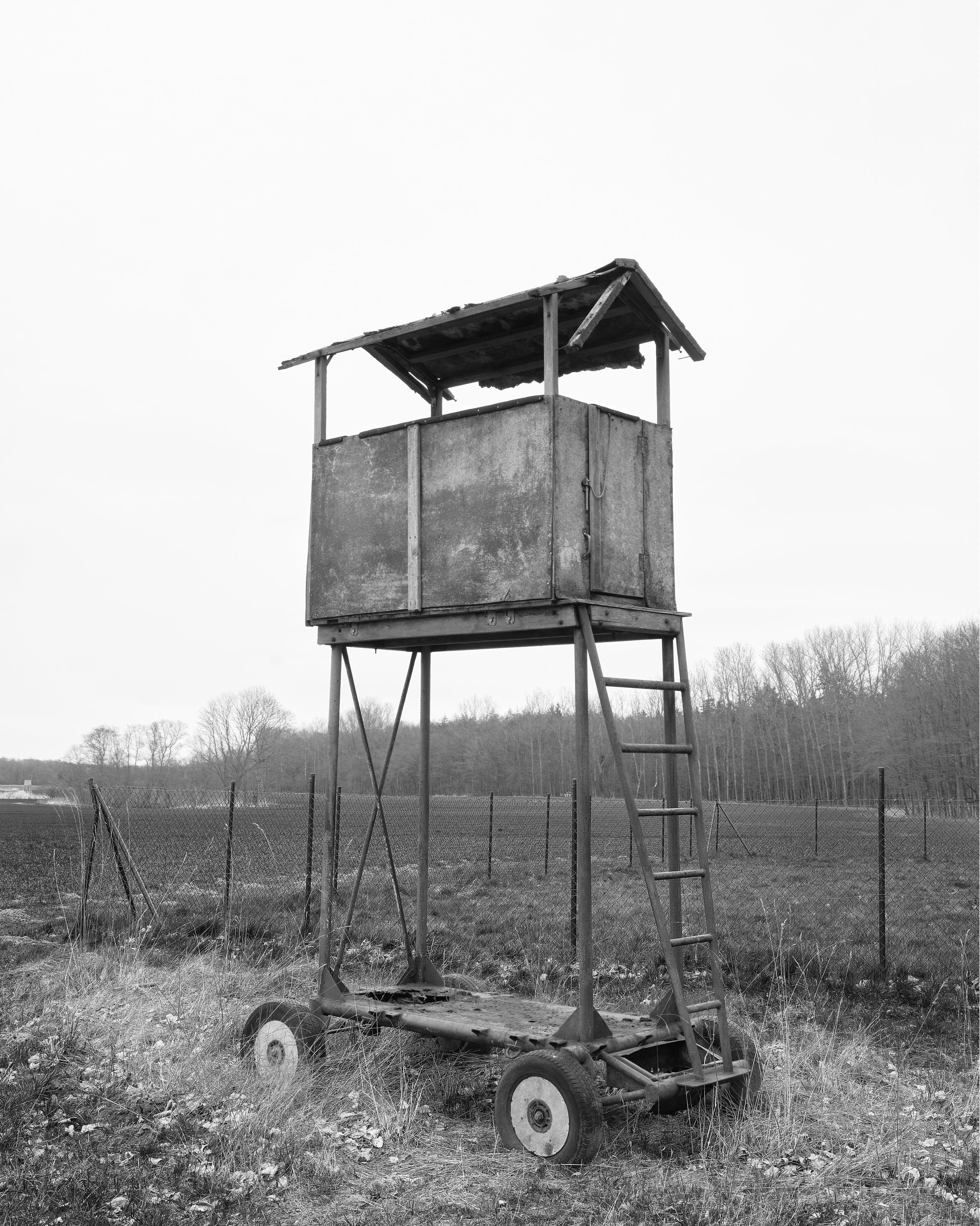 ИГРЫ, В КОТОРЫЕ ИГРАЮТ ФОТОГРАФЫ. Самоорганизация Низина