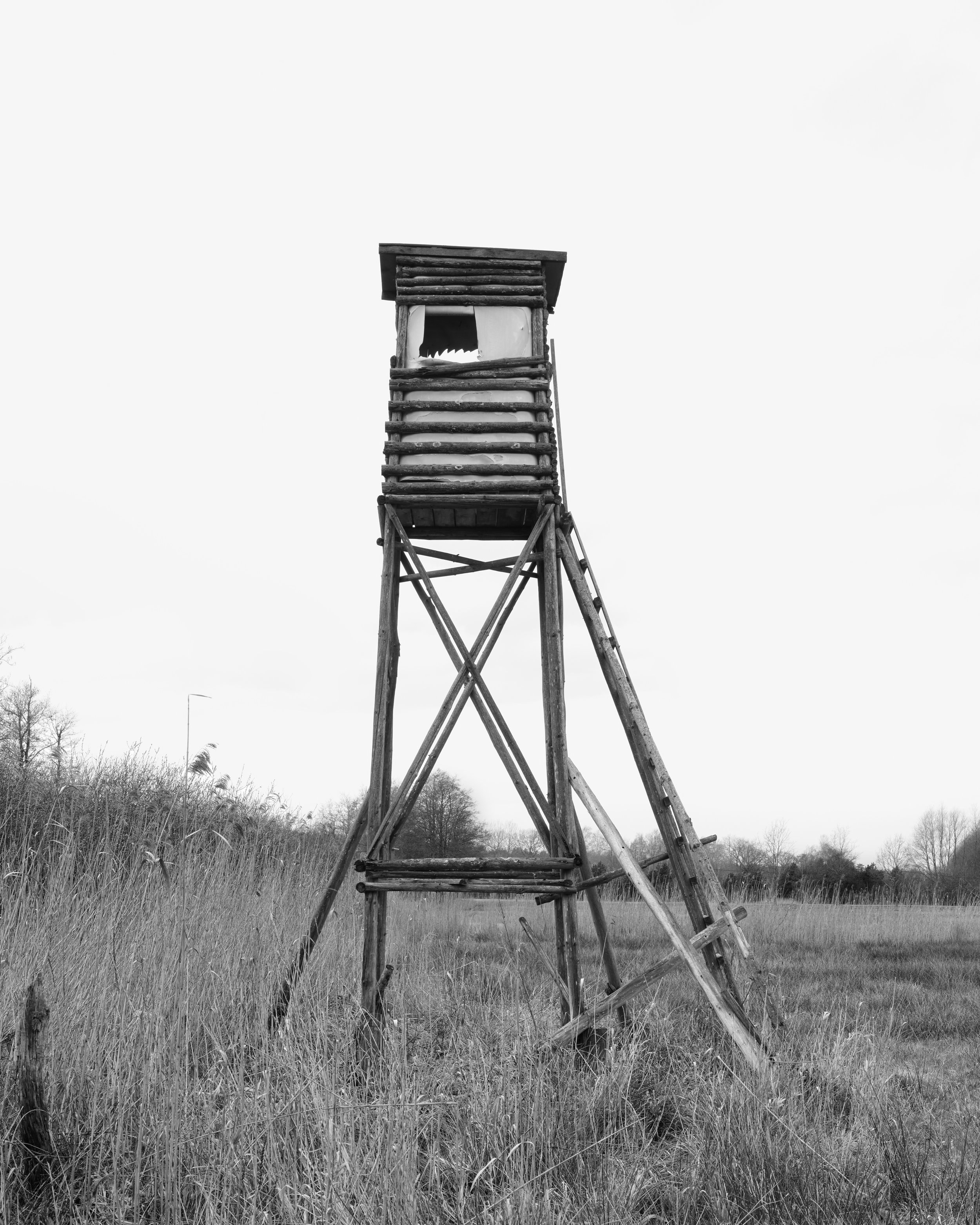 ИГРЫ, В КОТОРЫЕ ИГРАЮТ ФОТОГРАФЫ. Самоорганизация Низина