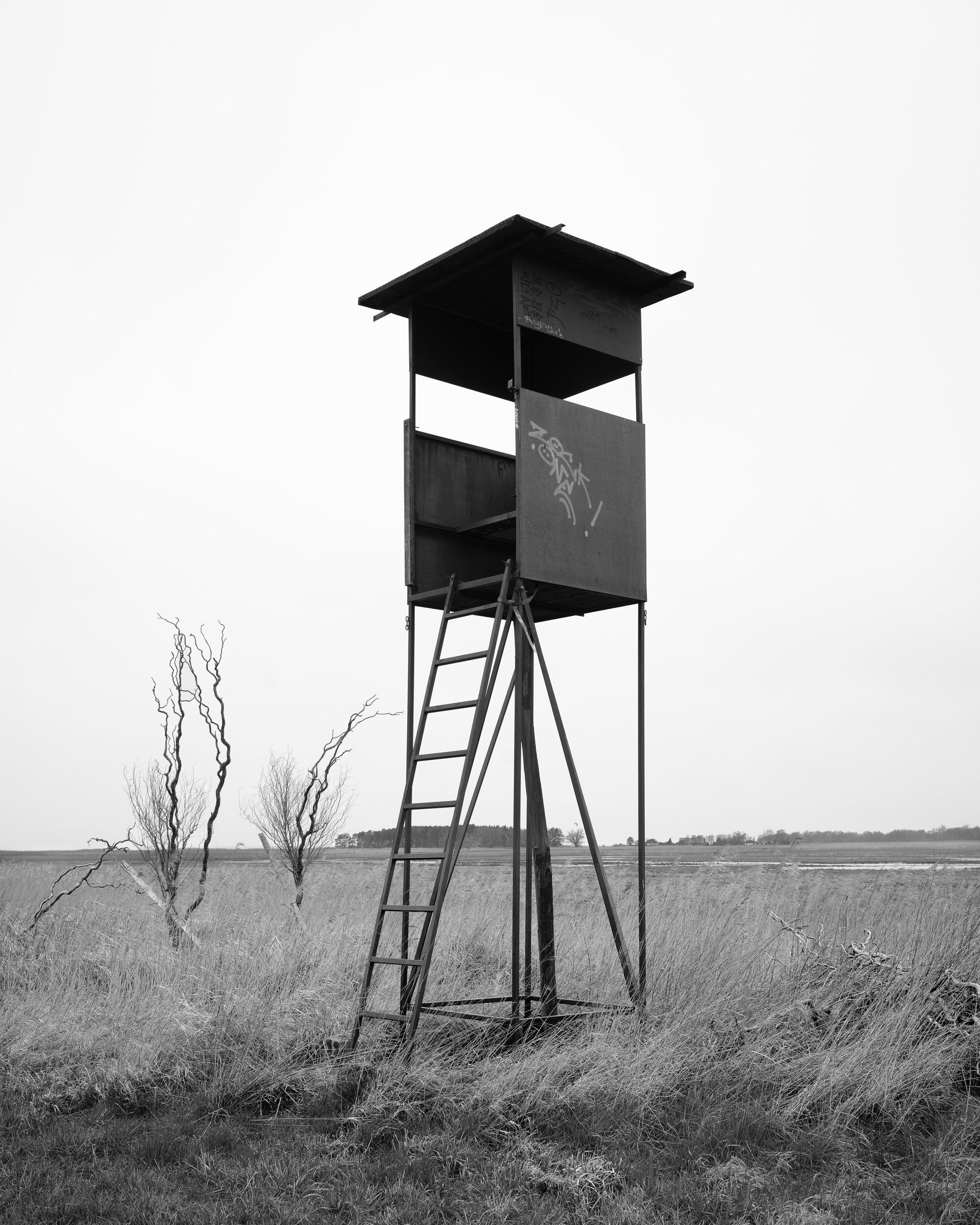 ИГРЫ, В КОТОРЫЕ ИГРАЮТ ФОТОГРАФЫ. Самоорганизация Низина