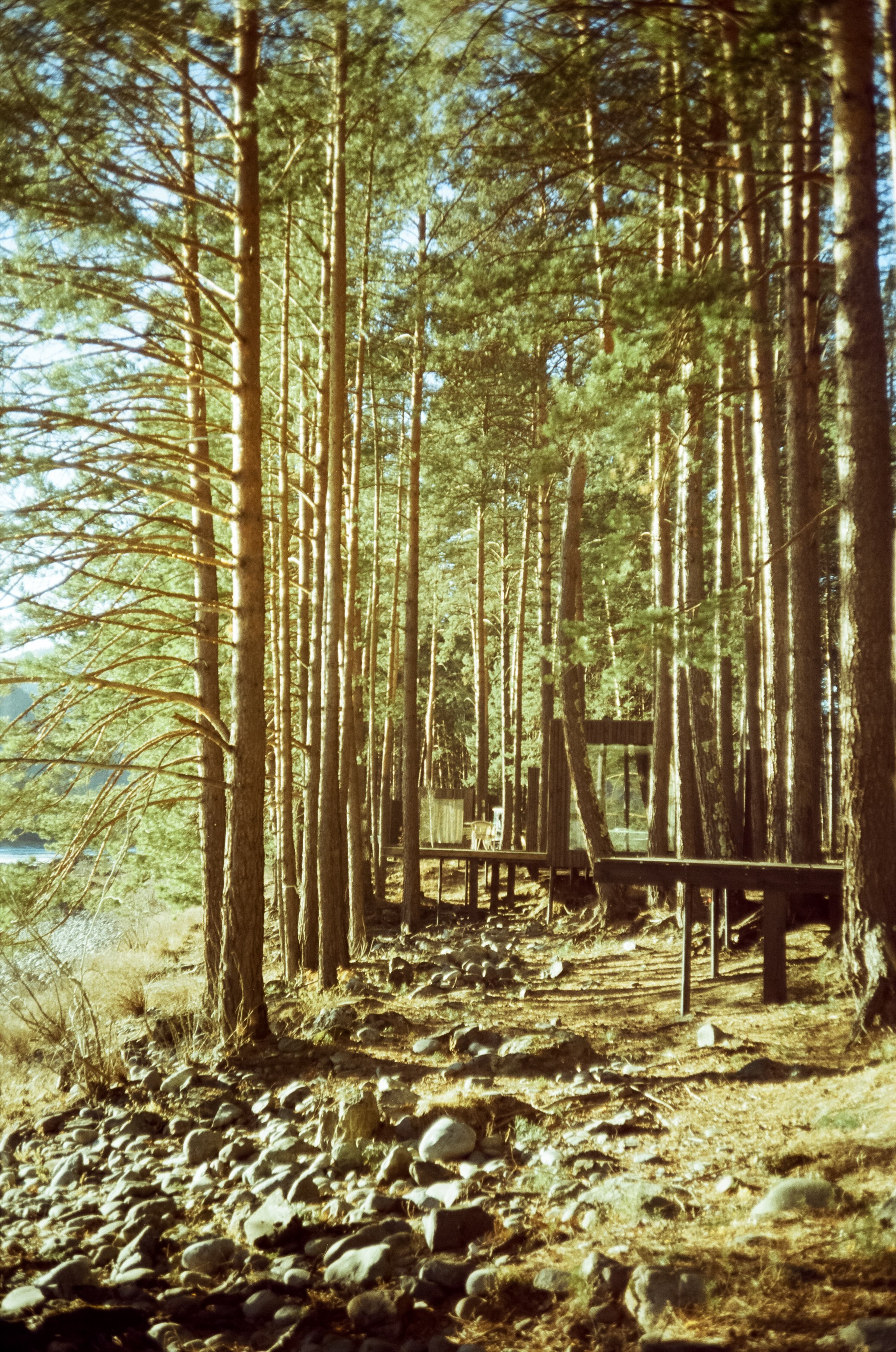 База Берель, база Тихий берег / 23 декабря 2023 года (-10℃)