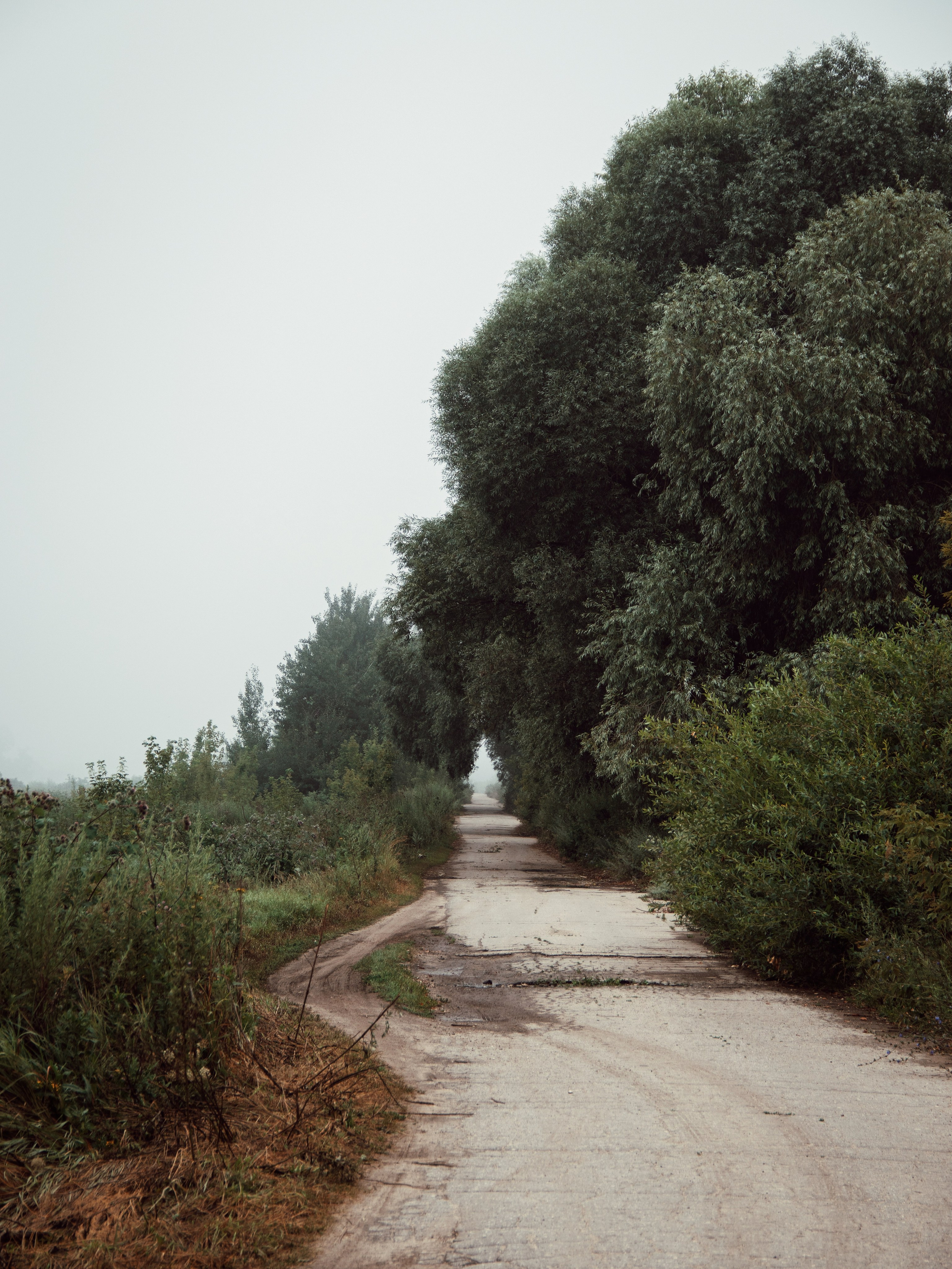 Застывшая утренняя тишина. С любовью, фотохудожник