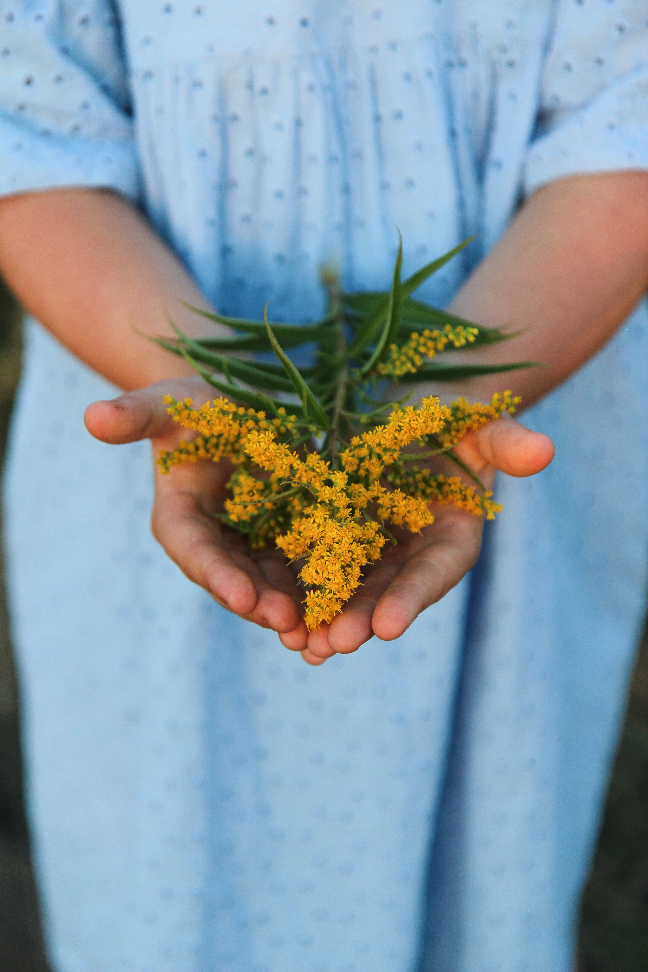 Летние прогулки — Анечка. Диана Николаева — фотограф город Балашиха