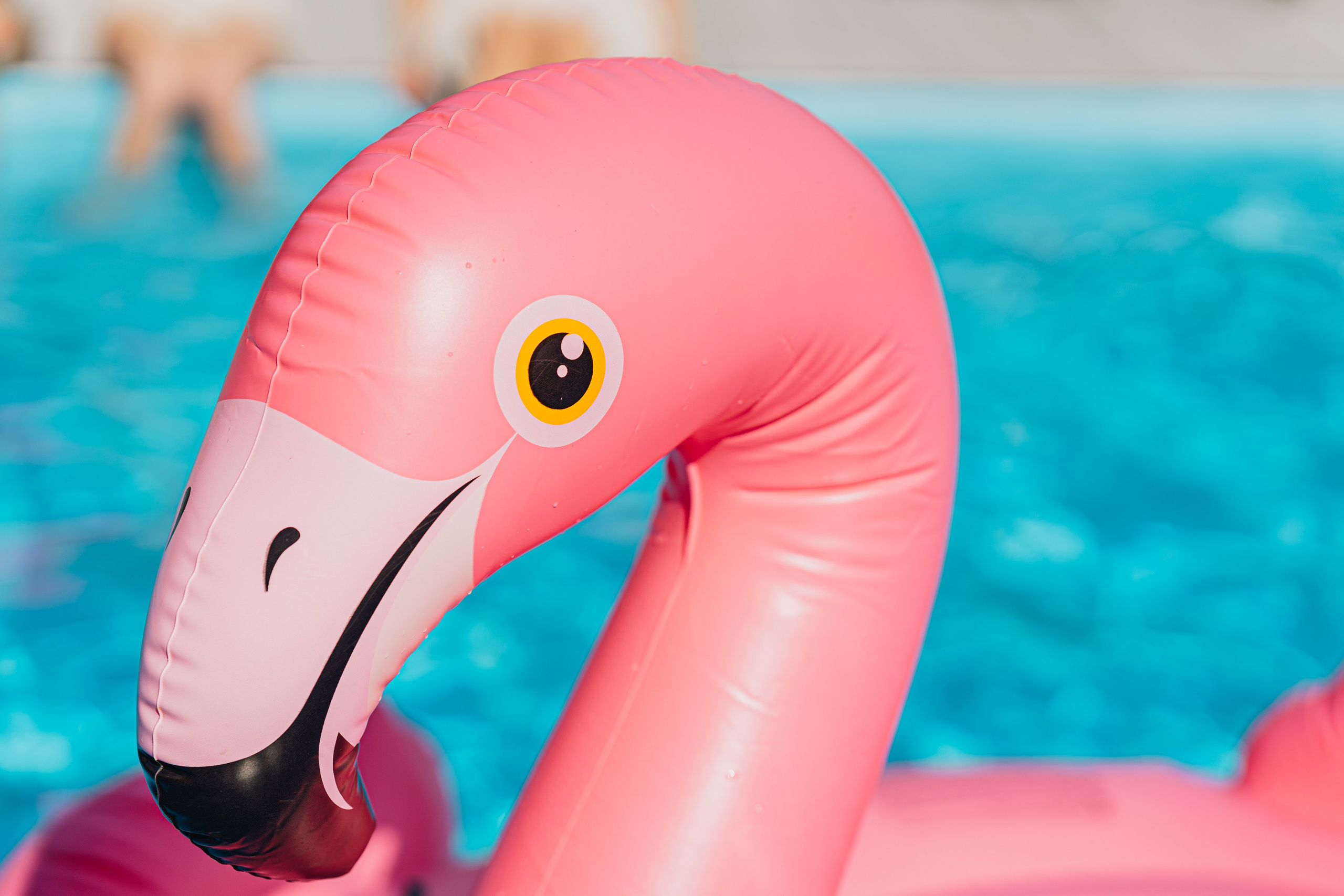 Тимбилдинг Cheelee, Мытищи, Яхт-клуб Буревестник. Наталья Дукалова фотограф Щелково Королев Пушкино Москва Балашиха