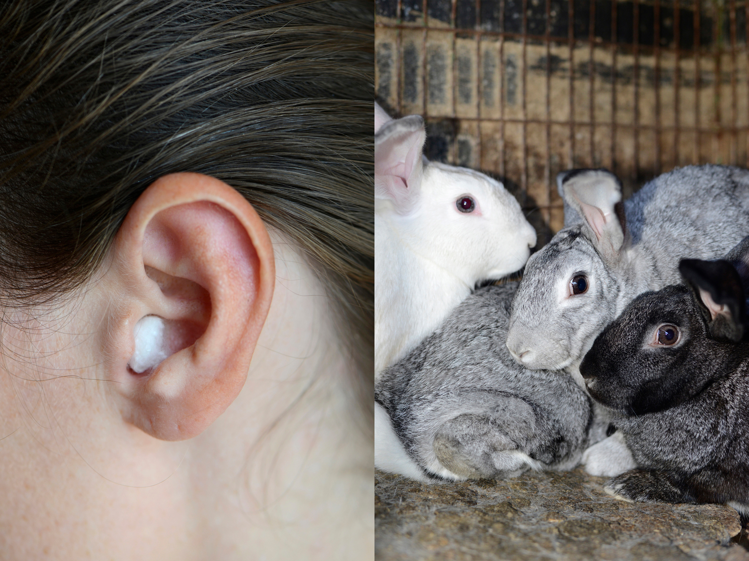 ПЕЩЕРА. Междисциплинарная художница Мария Кокунова Санкт-Петербург