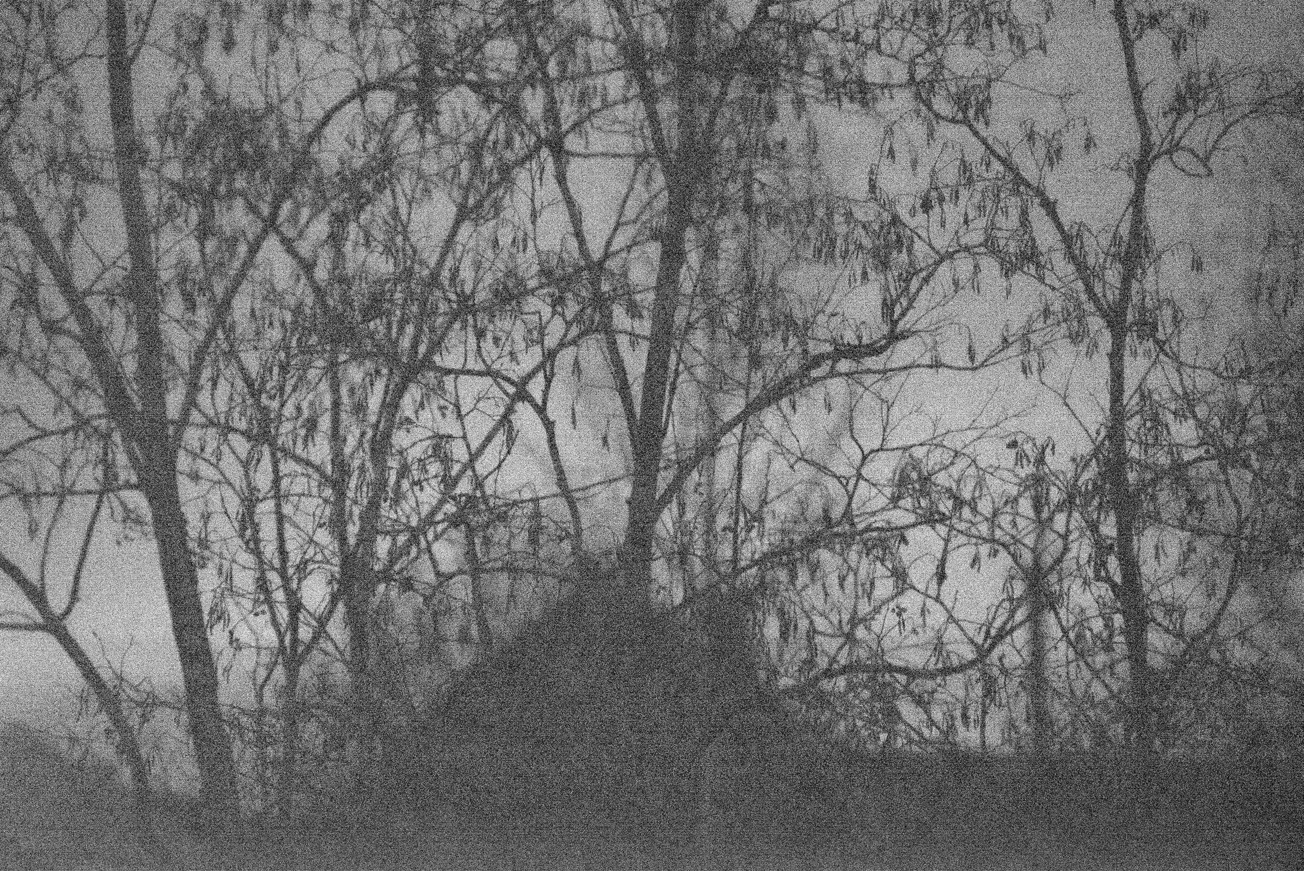 ПУСТОТА. Междисциплинарная художница Мария Кокунова Санкт-Петербург