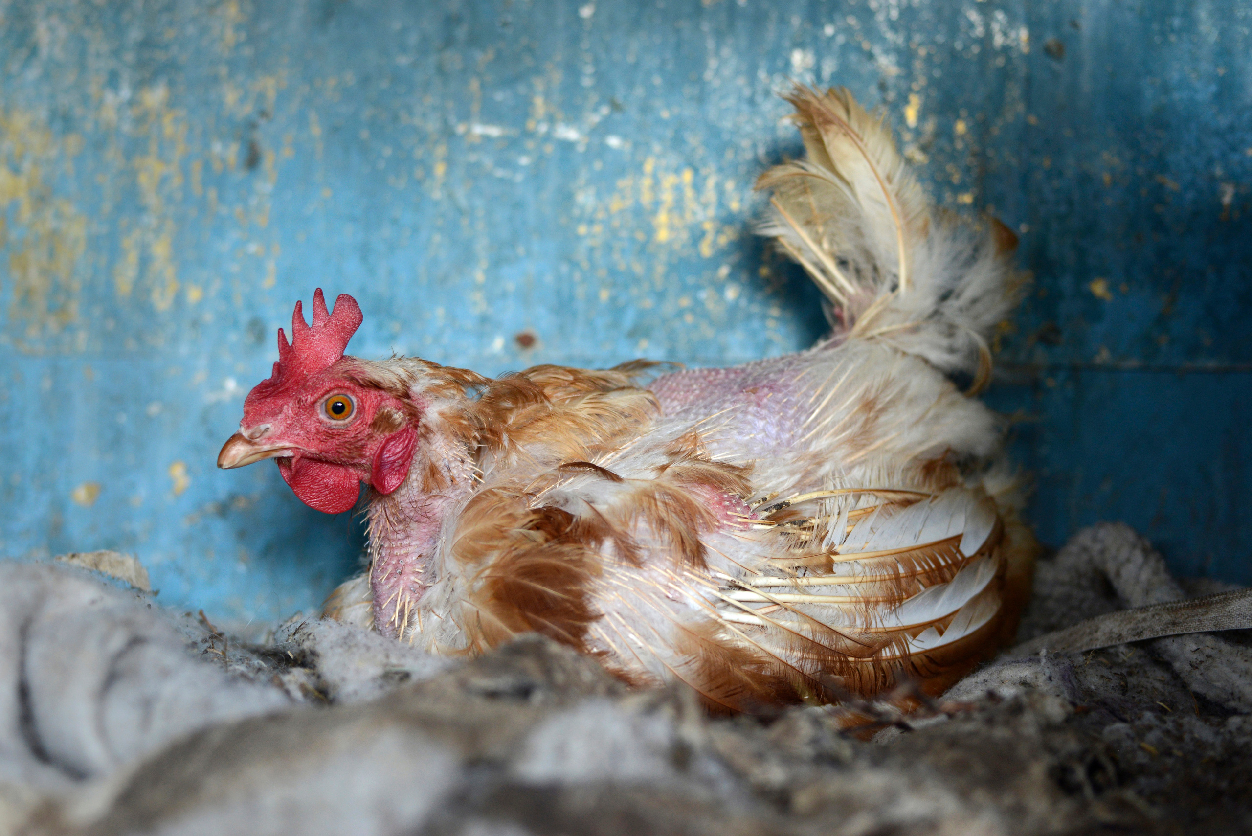 ПЕЩЕРА. Междисциплинарная художница Мария Кокунова Санкт-Петербург