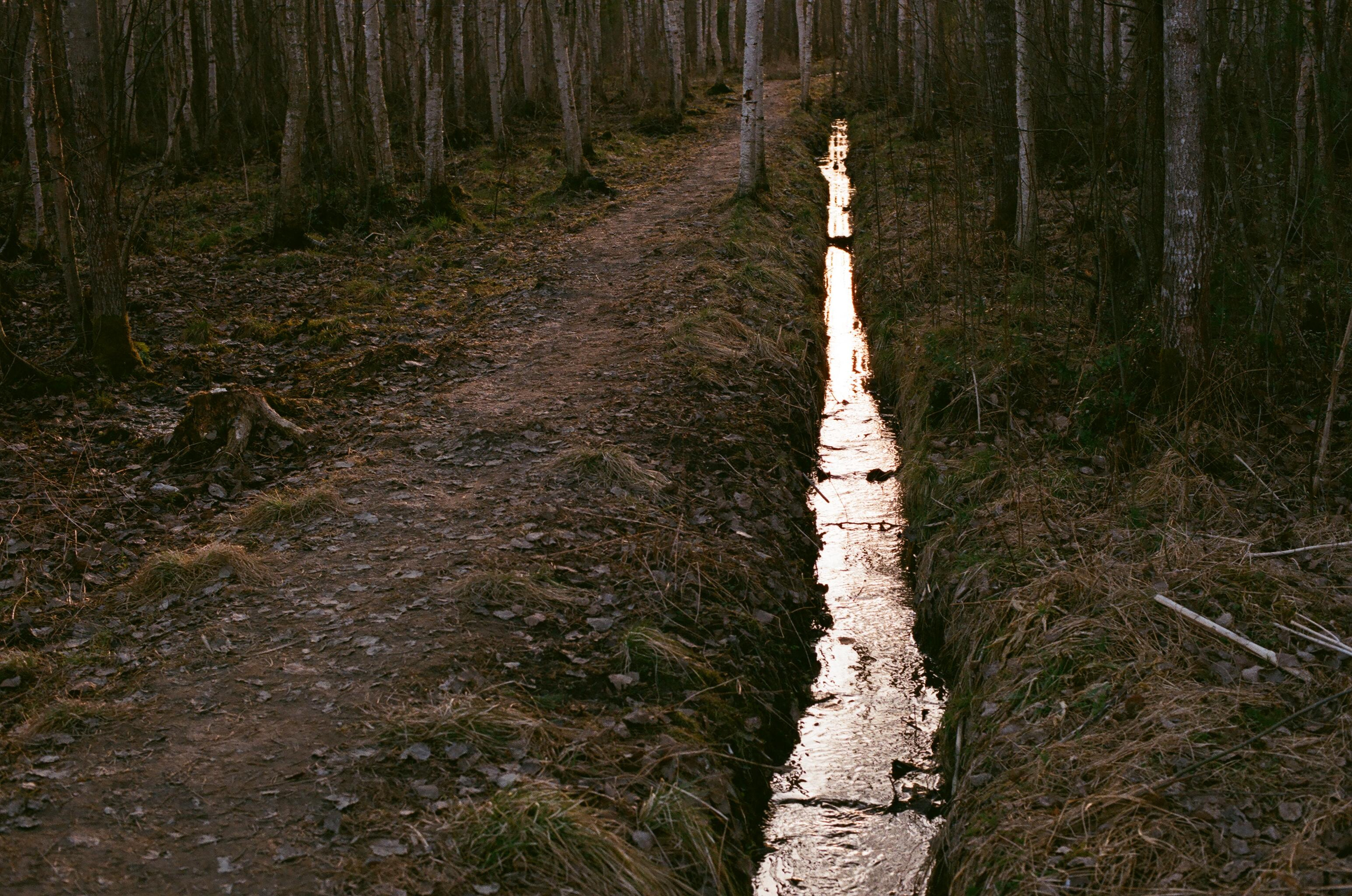ПУСТОТА. Междисциплинарная художница Мария Кокунова Санкт-Петербург