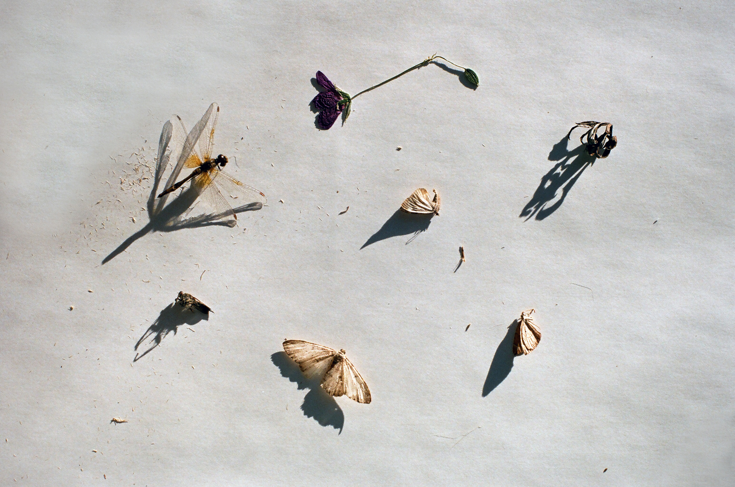 ПУСТОТА. Междисциплинарная художница Мария Кокунова Санкт-Петербург