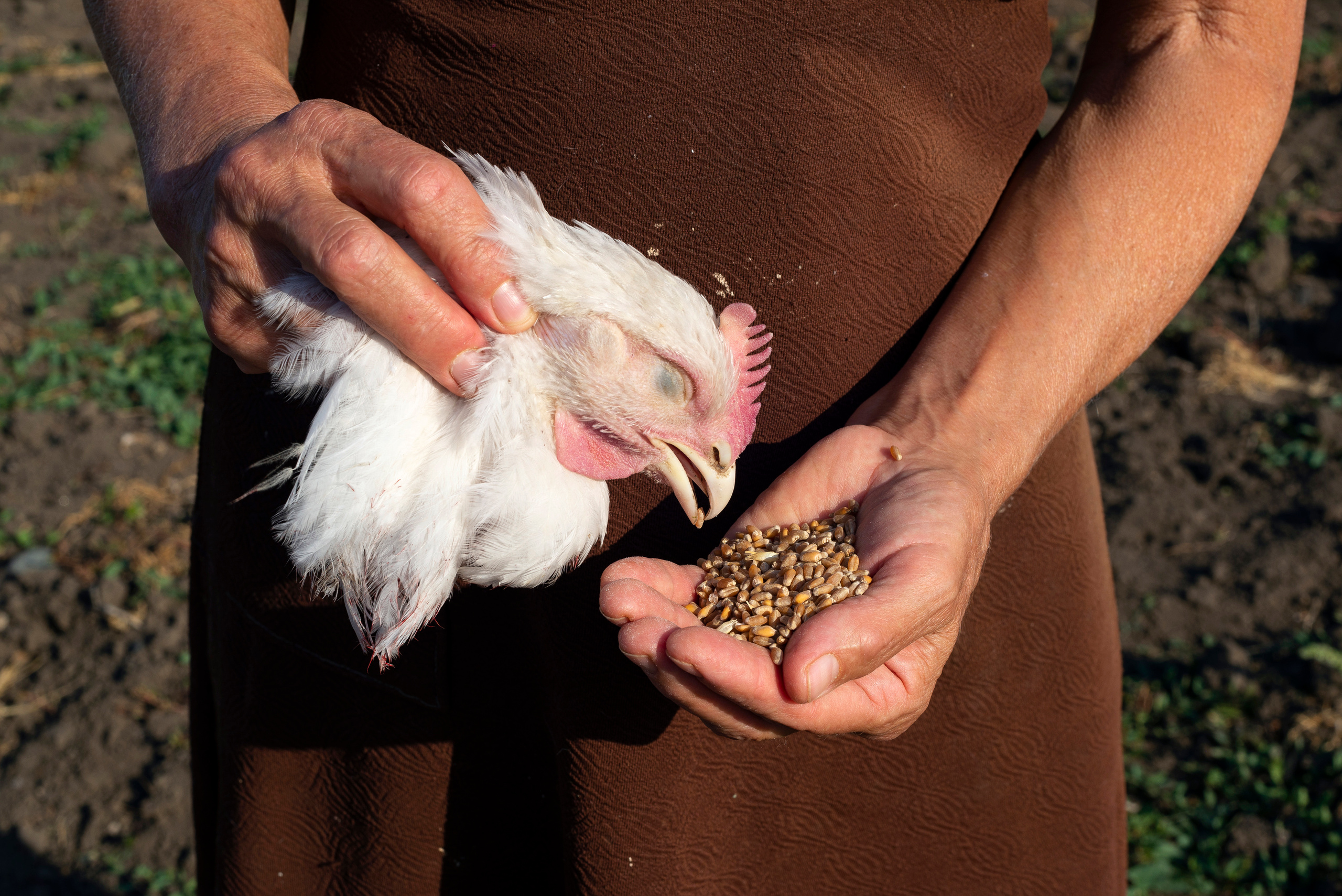 ПЕЩЕРА. Междисциплинарная художница Мария Кокунова Санкт-Петербург