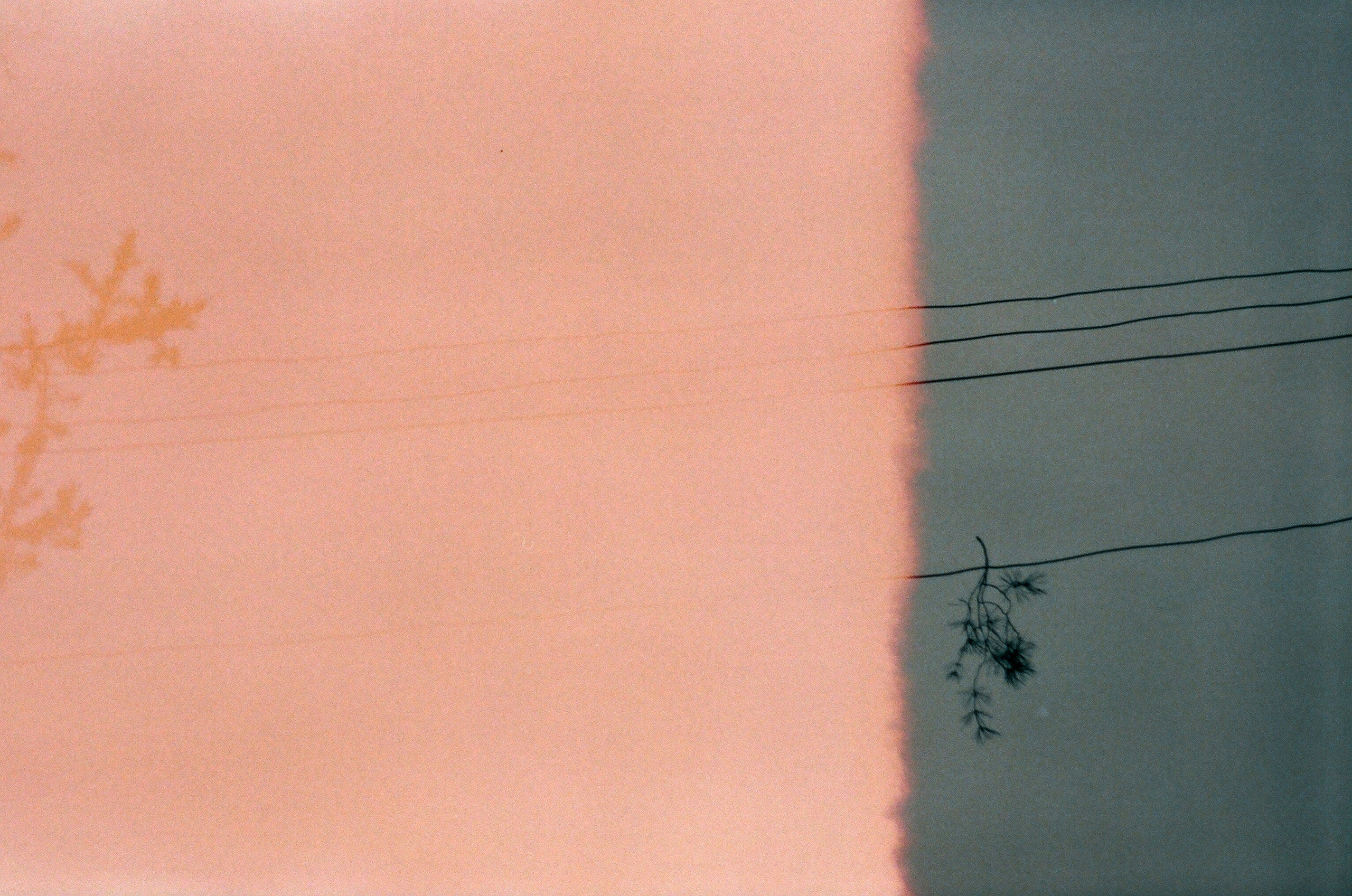 ПУСТОТА. Междисциплинарная художница Мария Кокунова Санкт-Петербург