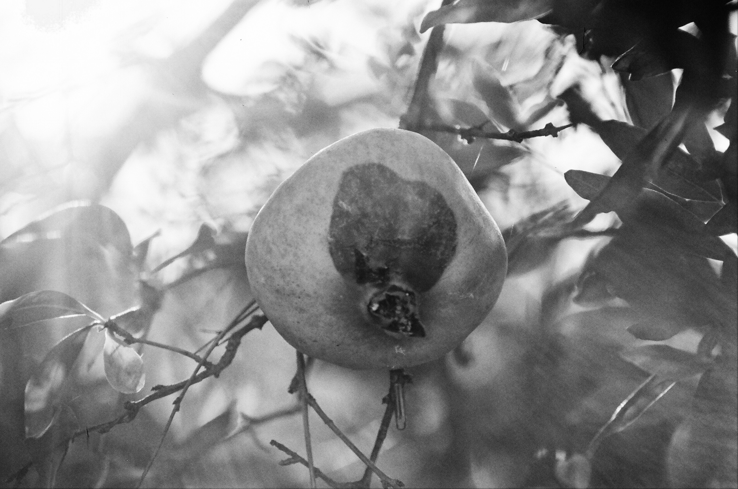 ПУСТОТА. Междисциплинарная художница Мария Кокунова Санкт-Петербург