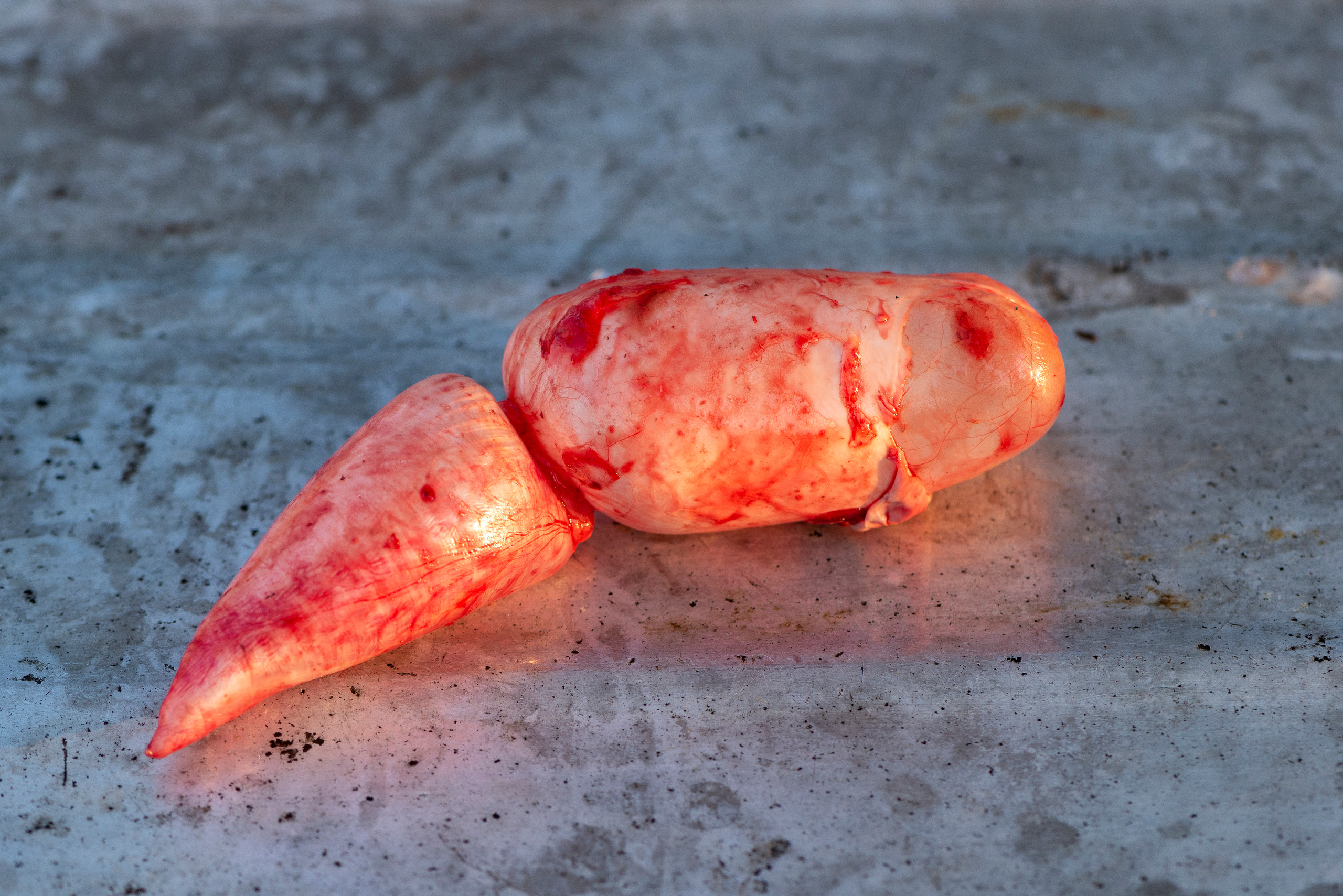 ПЕЩЕРА. Междисциплинарная художница Мария Кокунова Санкт-Петербург