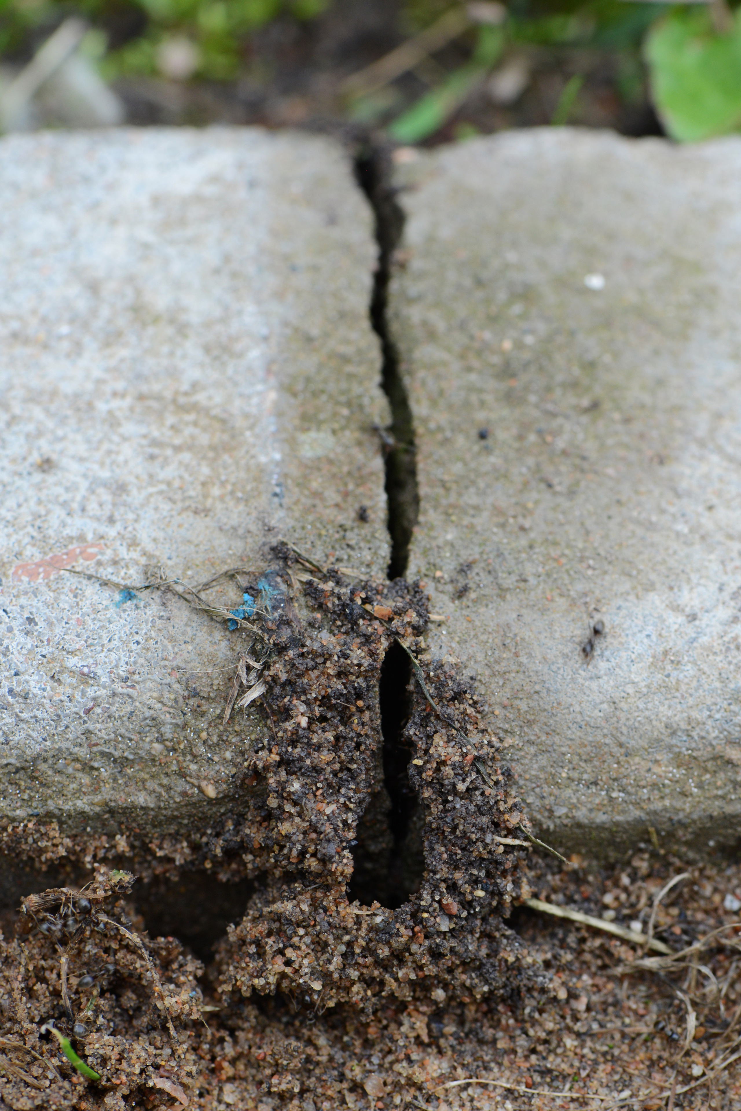 ERROR. Междисциплинарная художница Мария Кокунова Санкт-Петербург