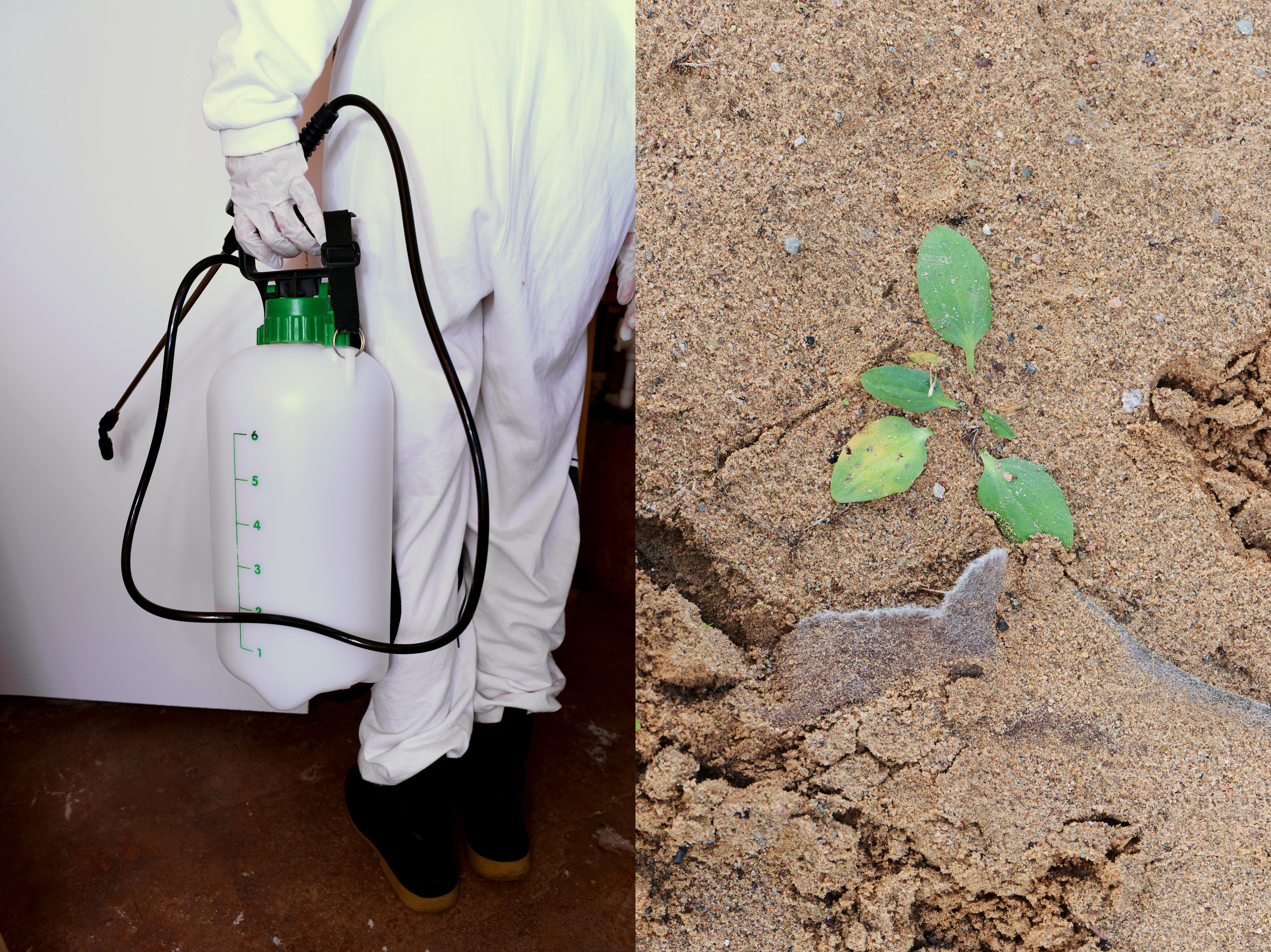 ERROR. Междисциплинарная художница Мария Кокунова Санкт-Петербург