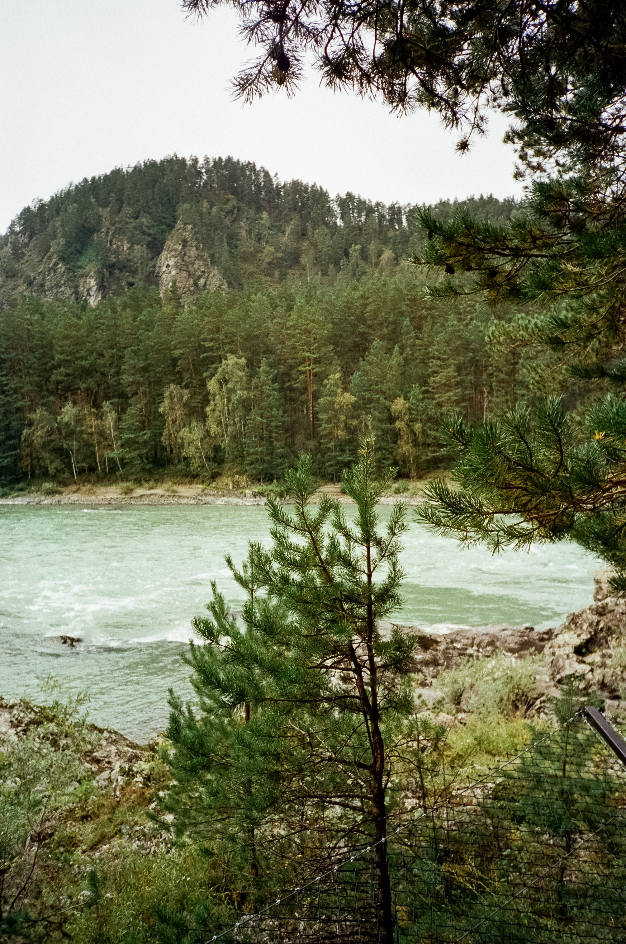 Тихий берег и Скала. Панорамы Катуни. Фотограф-документалист Мария Осокина