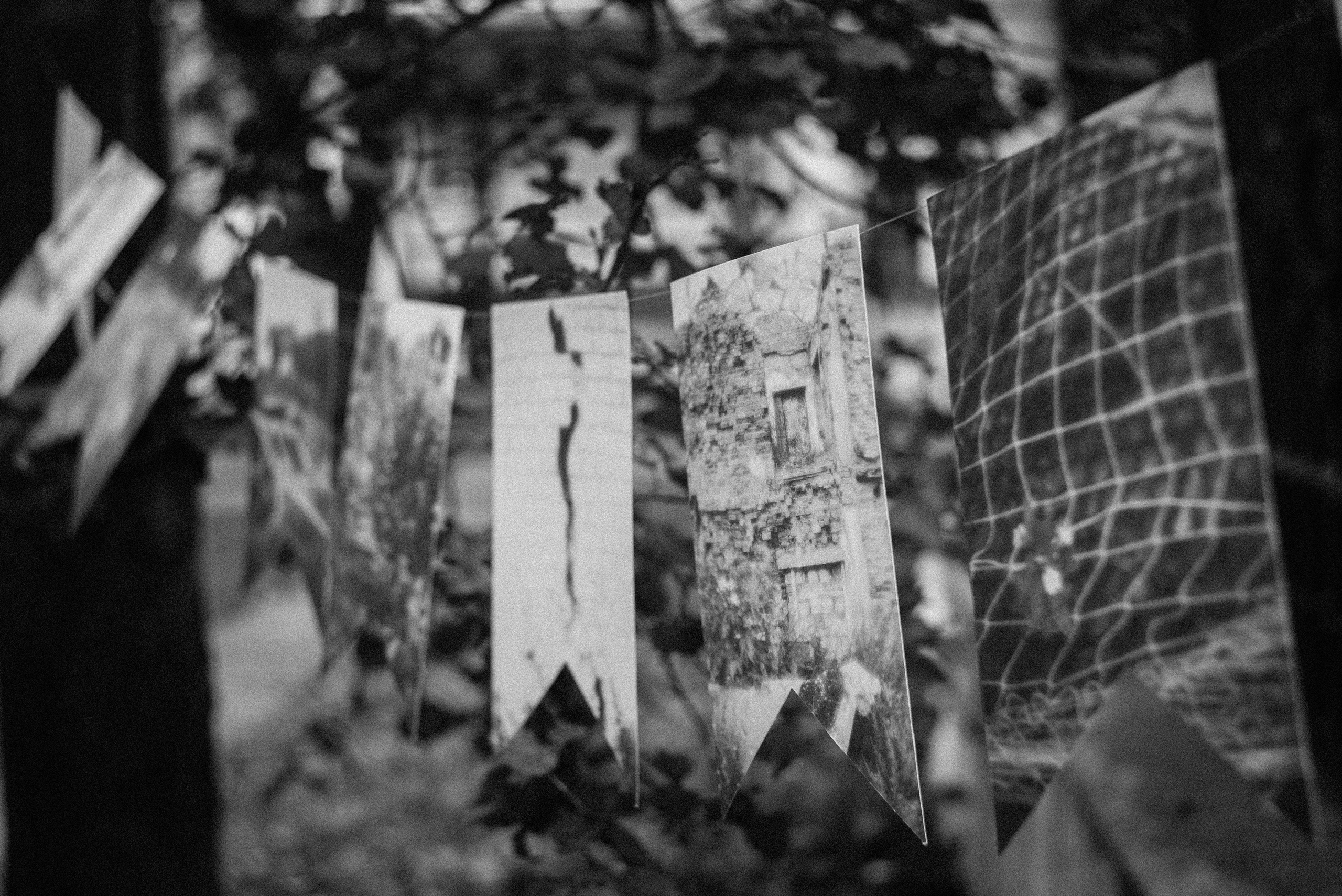 display at the exhibition "in progress"