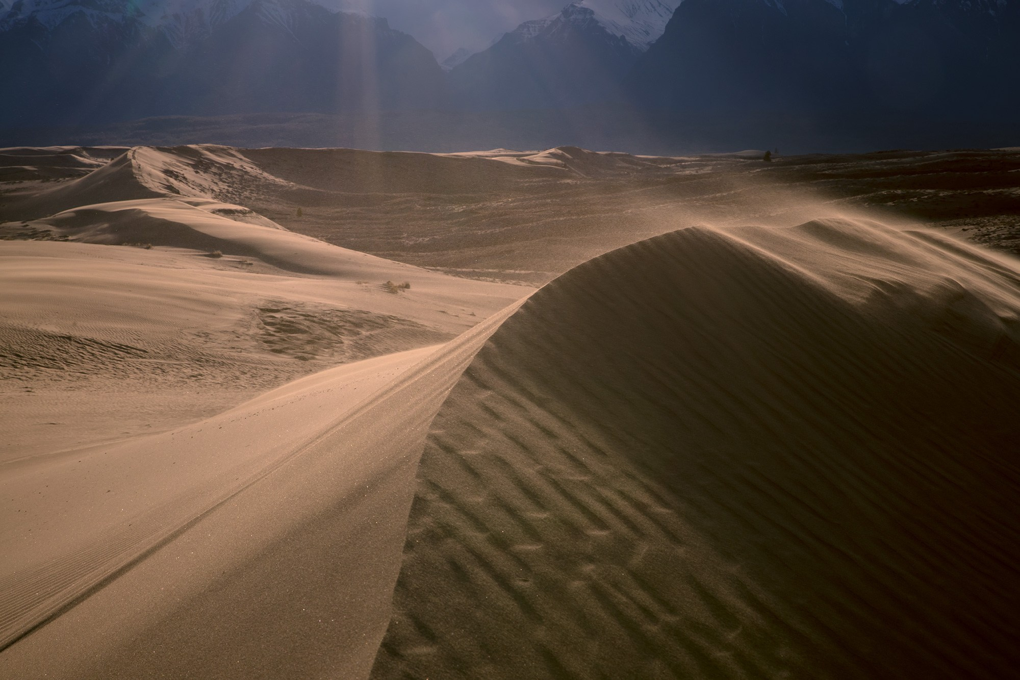 Чарские пески. Май 2026