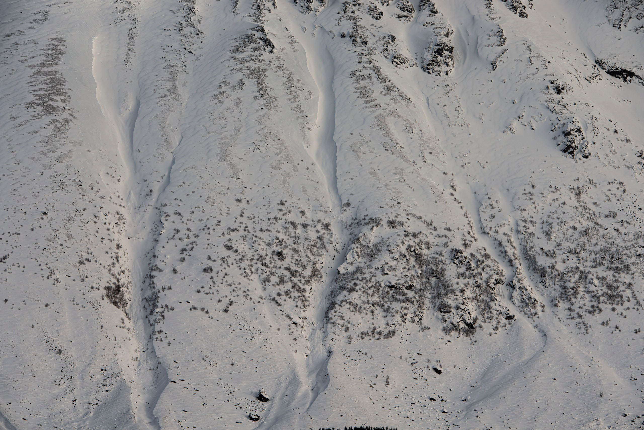 Крупный план крутого заснеженного горного склона с участками обнаженных скал или растительности и лавинными желобами.