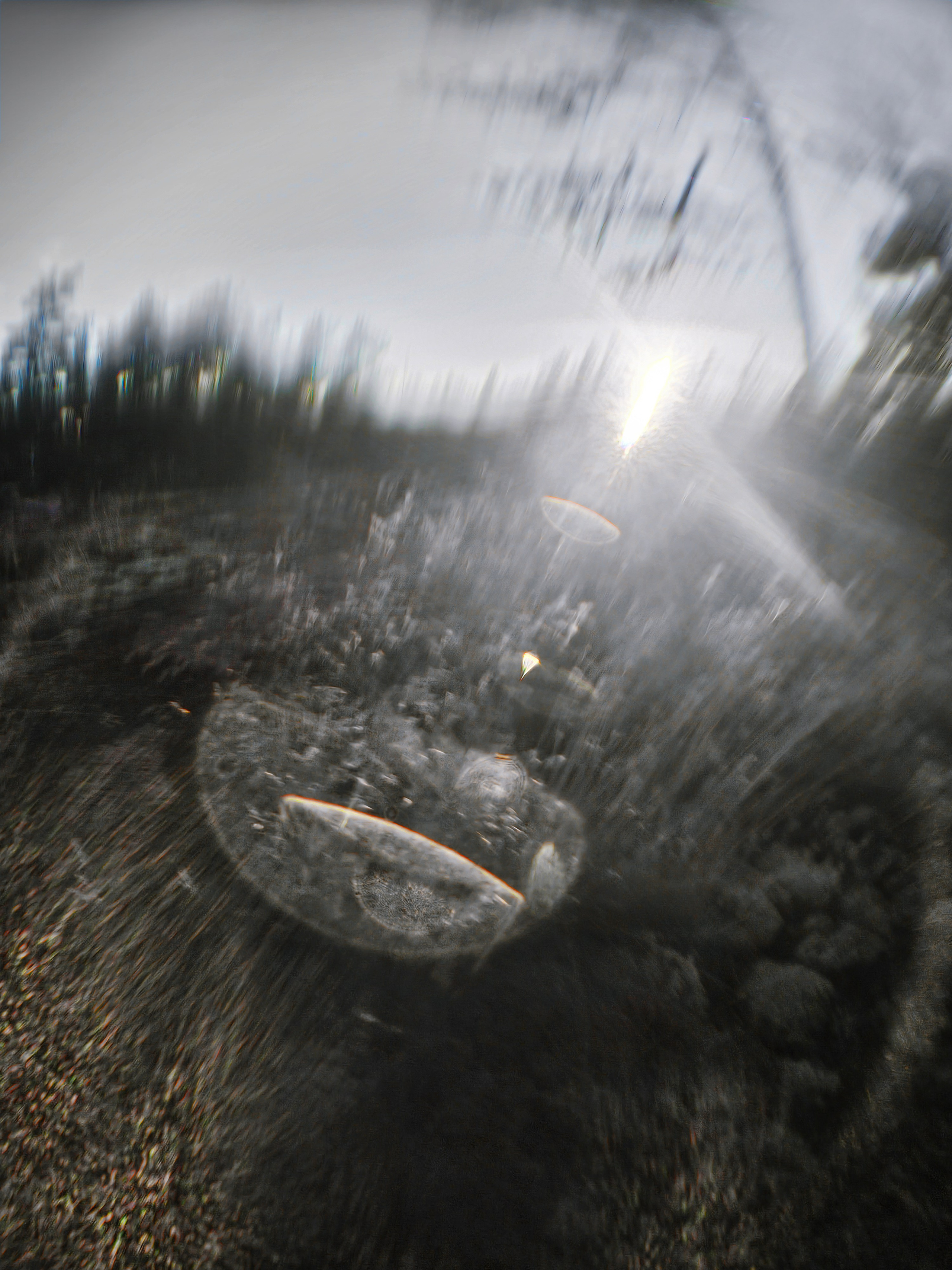 ФОТОГРАФИЯ. CONTEMPORARY ARTIST OLGA ANDRIYASH