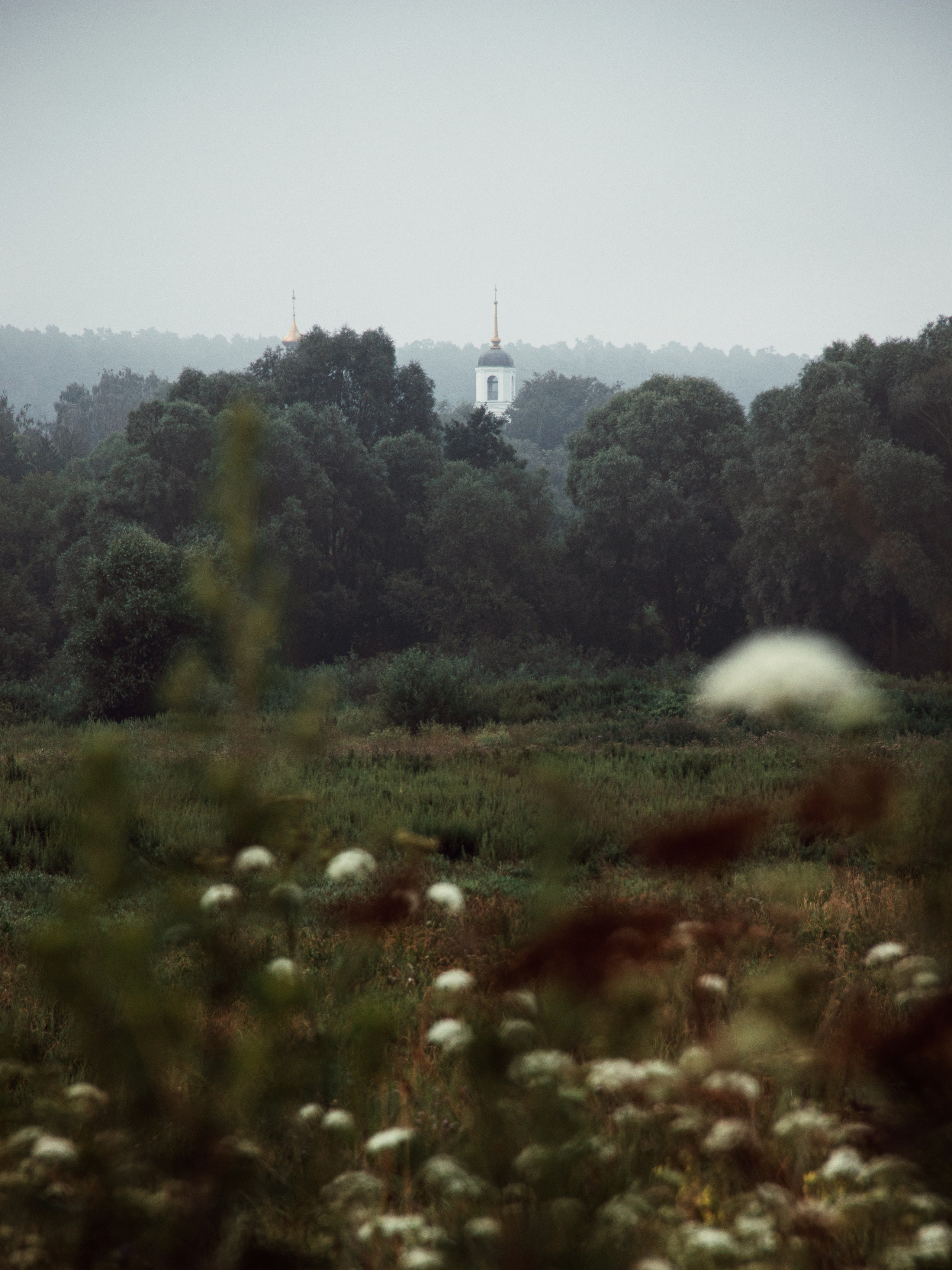 Застывшая утренняя тишина. С любовью, фотохудожник