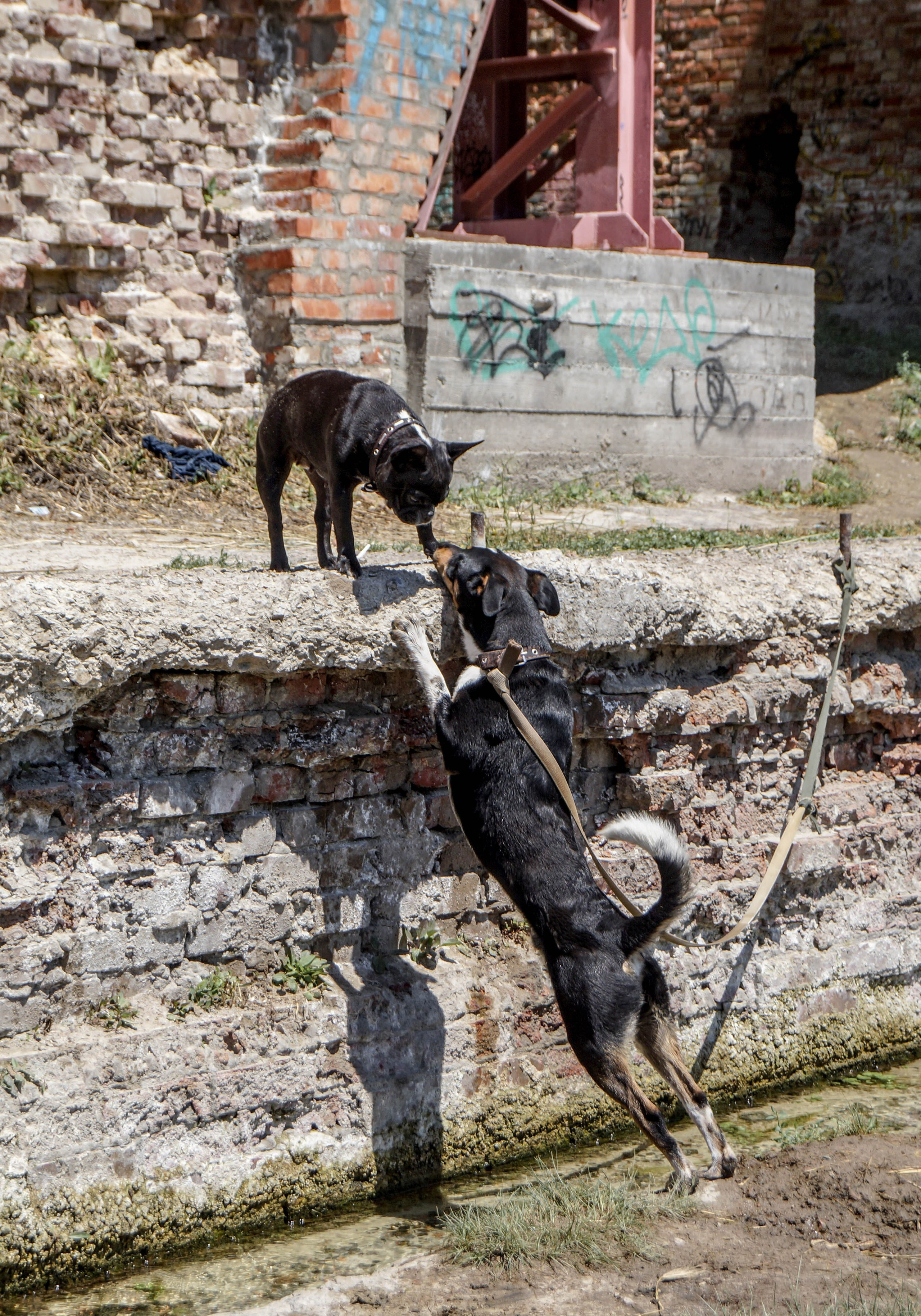 Автор: Мария Кокорина