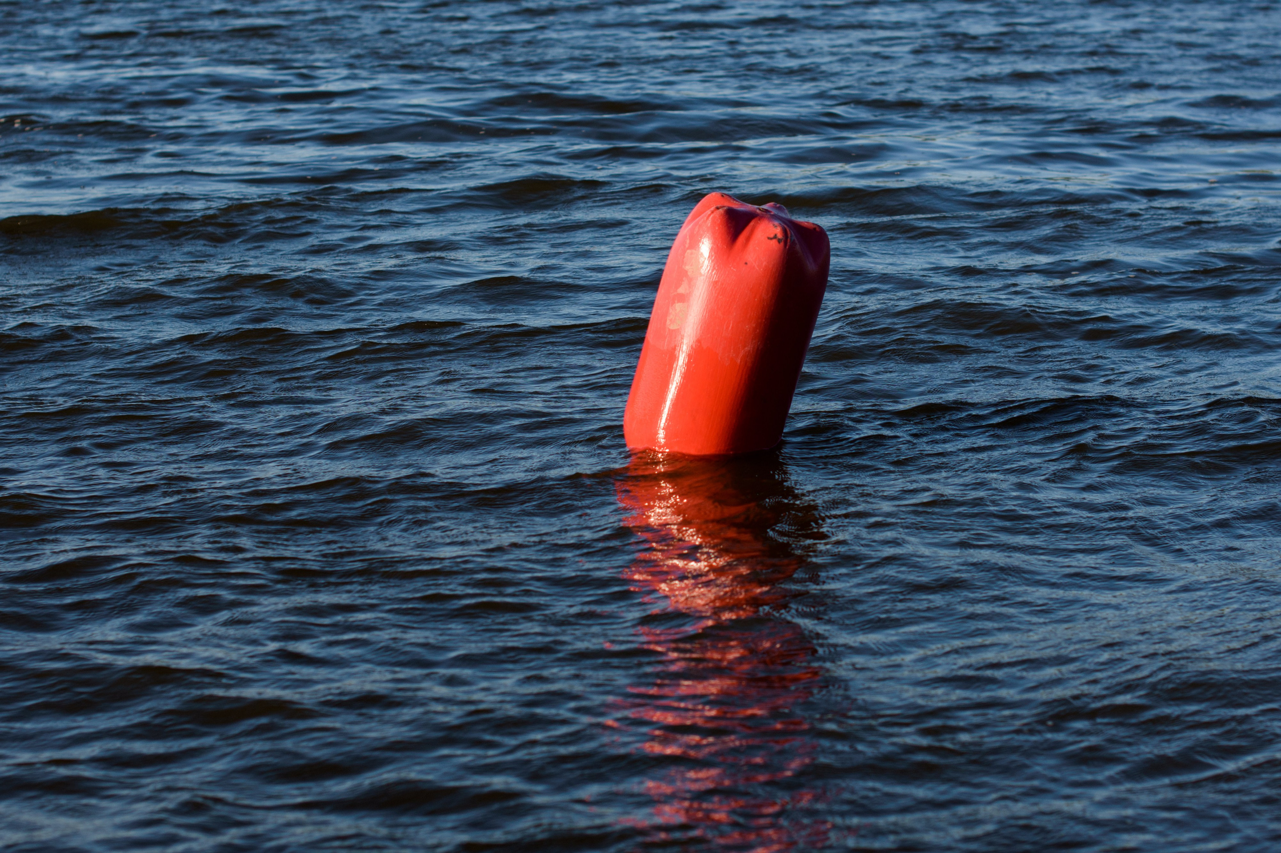 Тимбилдинг «Регинас». Evgeniy Roslov