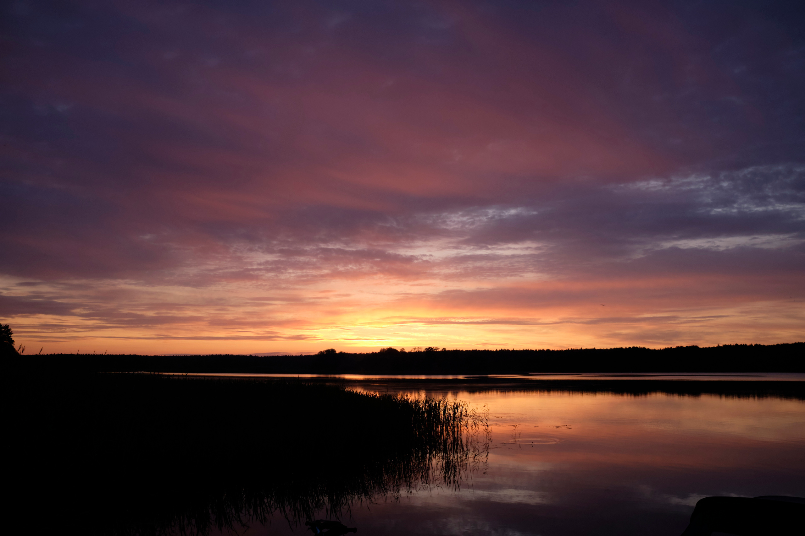 Поездка на Низовку. Волга. Елена Павленко. Фотограф. Москва