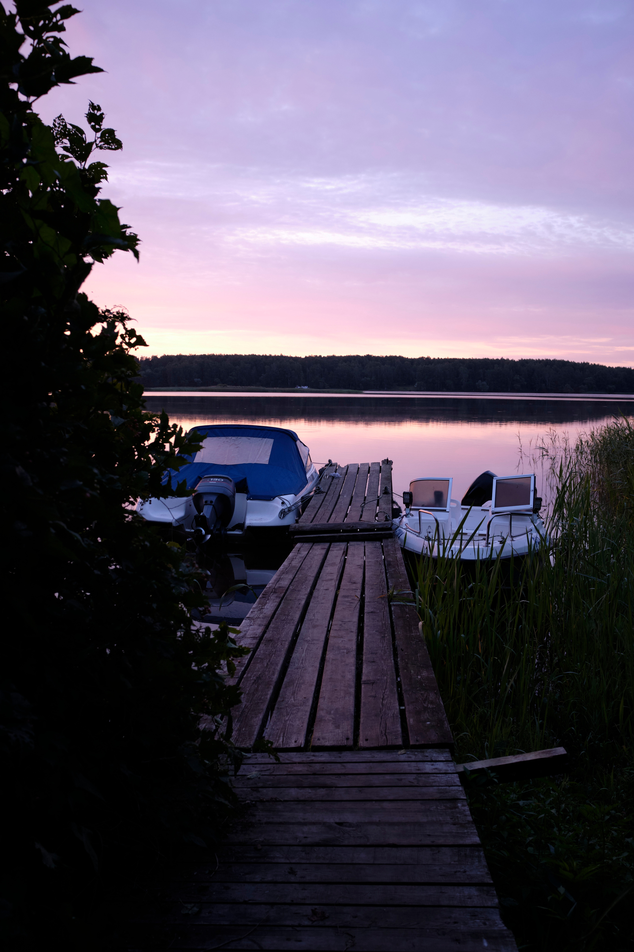 Поездка на Низовку. Волга. Елена Павленко. Фотограф. Москва