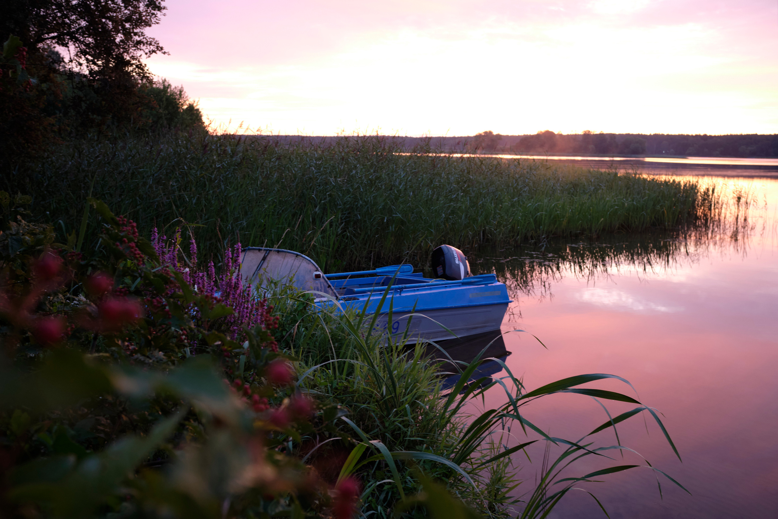Поездка на Низовку. Волга. Елена Павленко. Фотограф. Москва