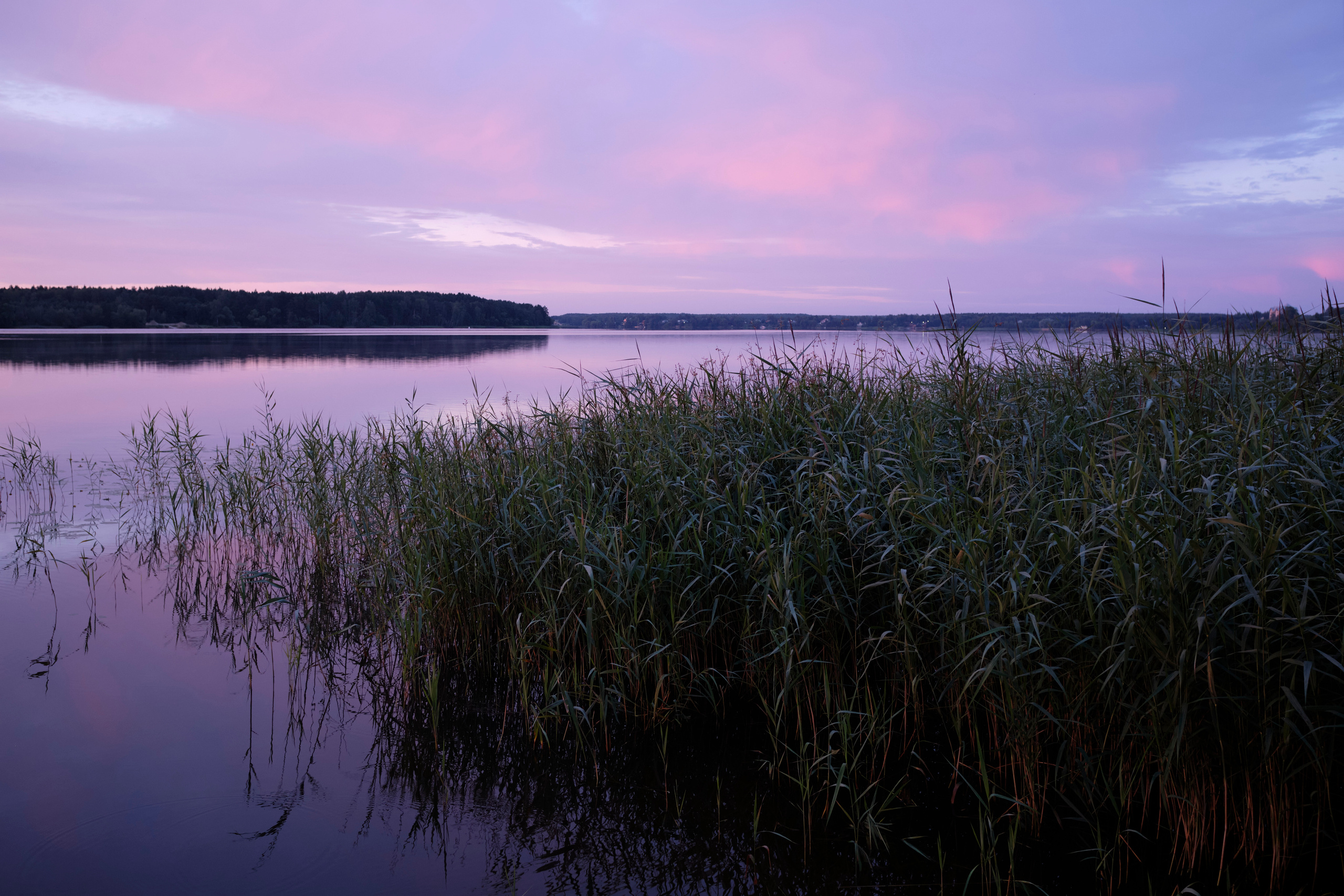 Поездка на Низовку. Волга. Елена Павленко. Фотограф. Москва