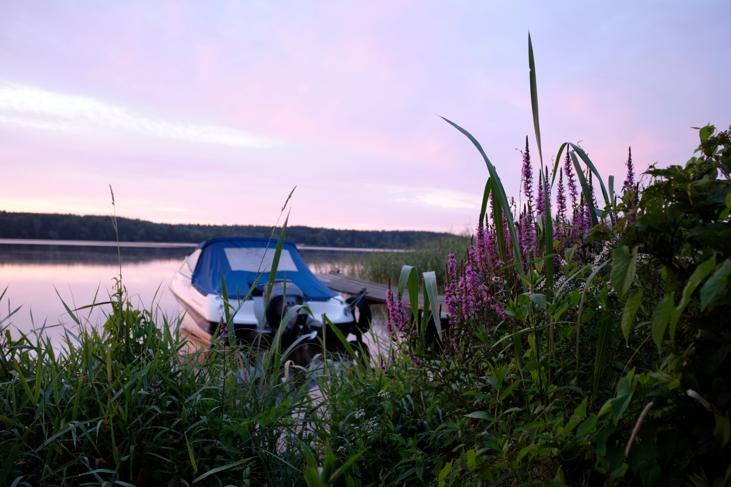 Поездка на Низовку. Волга. Елена Павленко. Фотограф. Москва