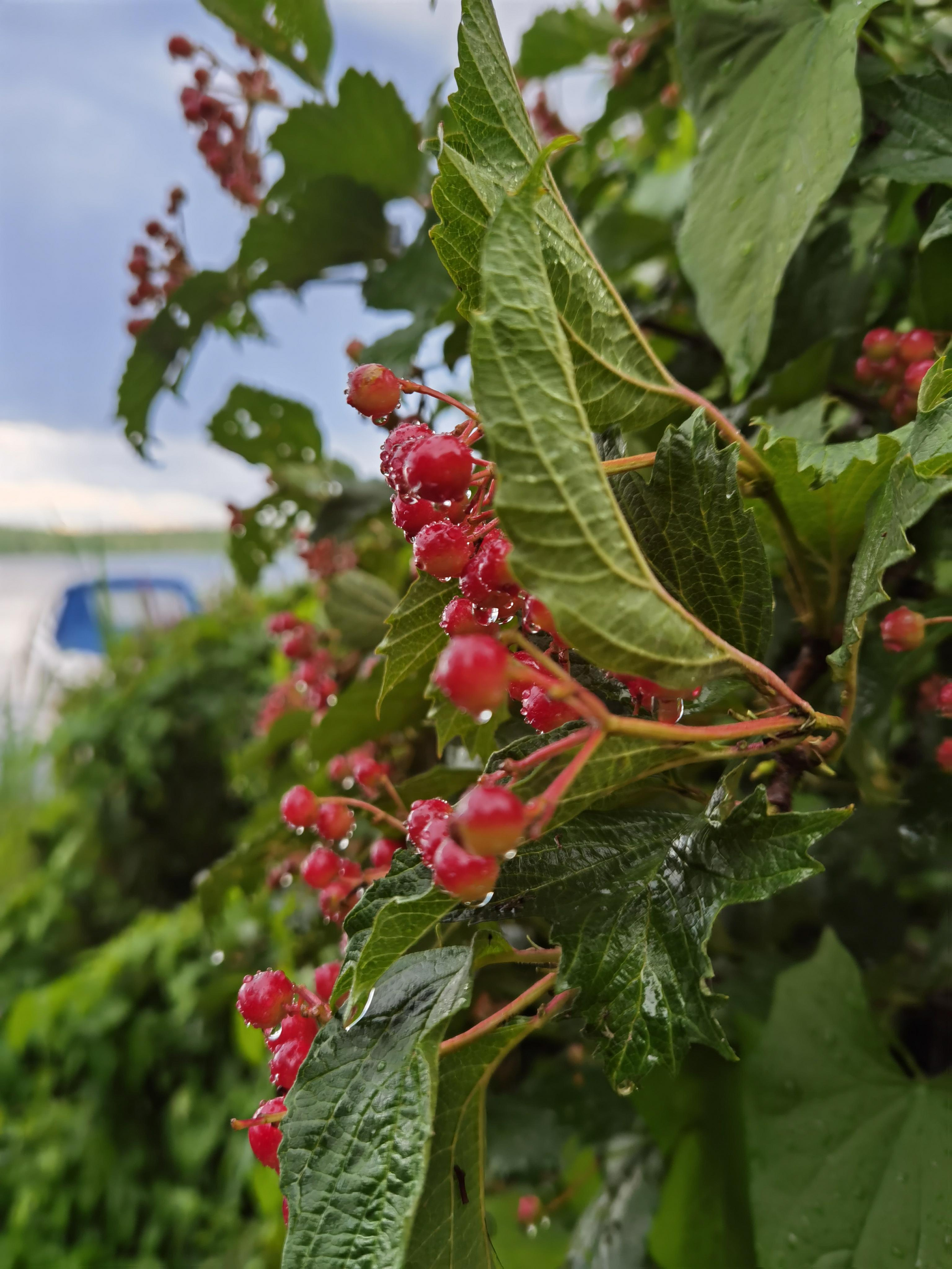 Поездка на Низовку. Волга. Елена Павленко. Фотограф. Москва