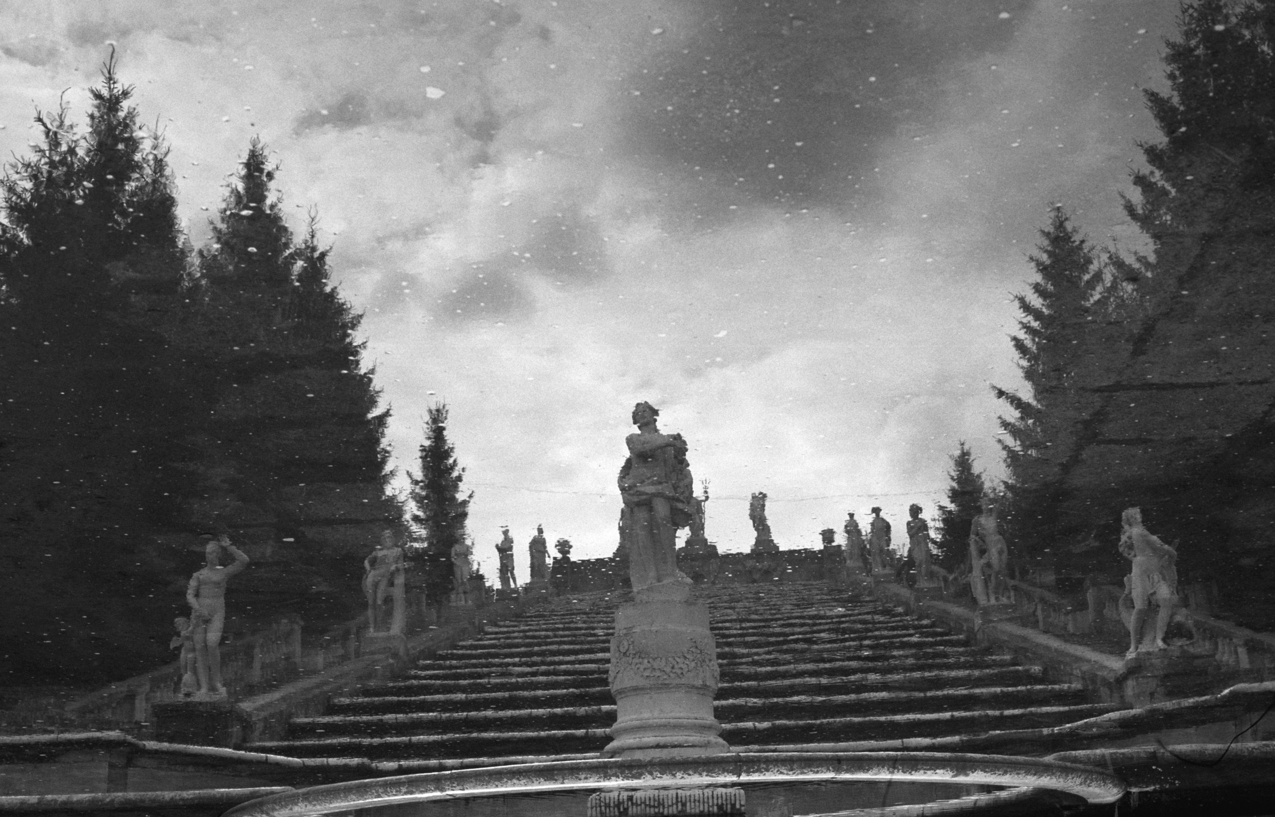 Русский Сон. Елена Цихон художник фотографии и мастер фото-ДНК