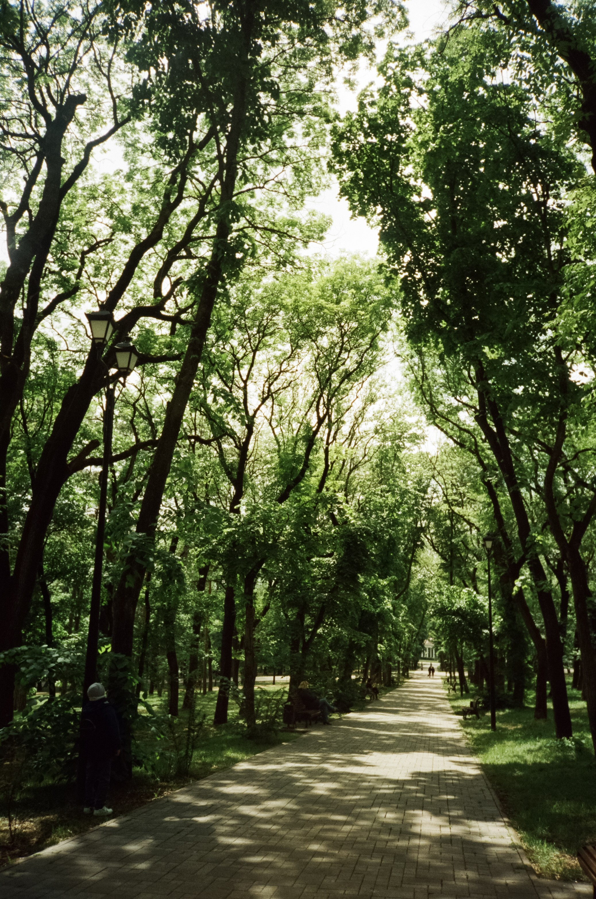 Солнечные Ессентуки. Прогулка в Курортном парке. Фотограф-документалист Мария Осокина